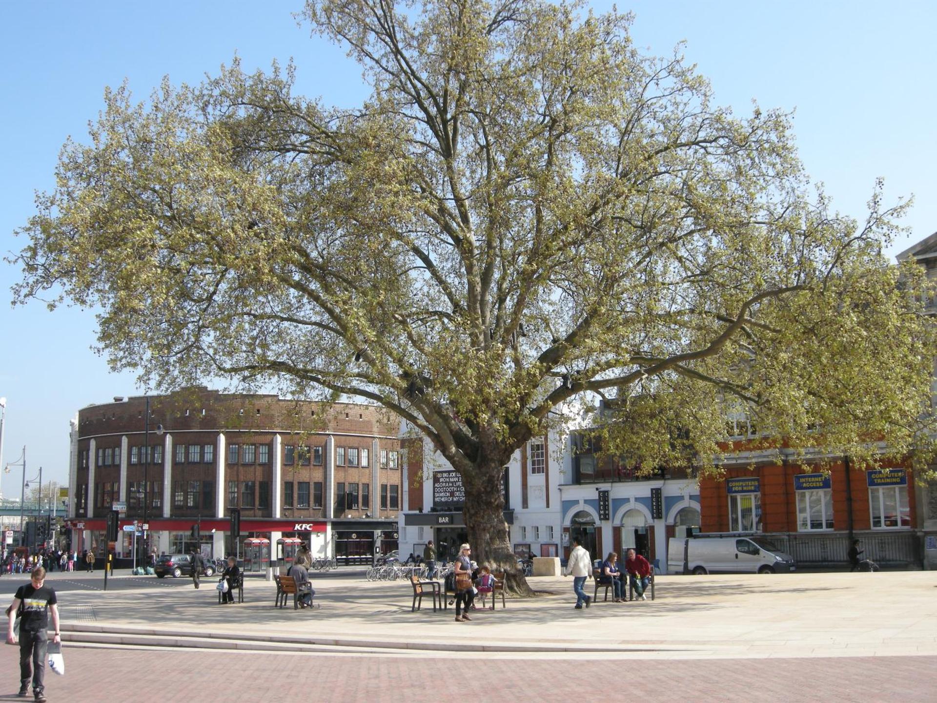 Artistic London Pied-à-Terre - Photo 24