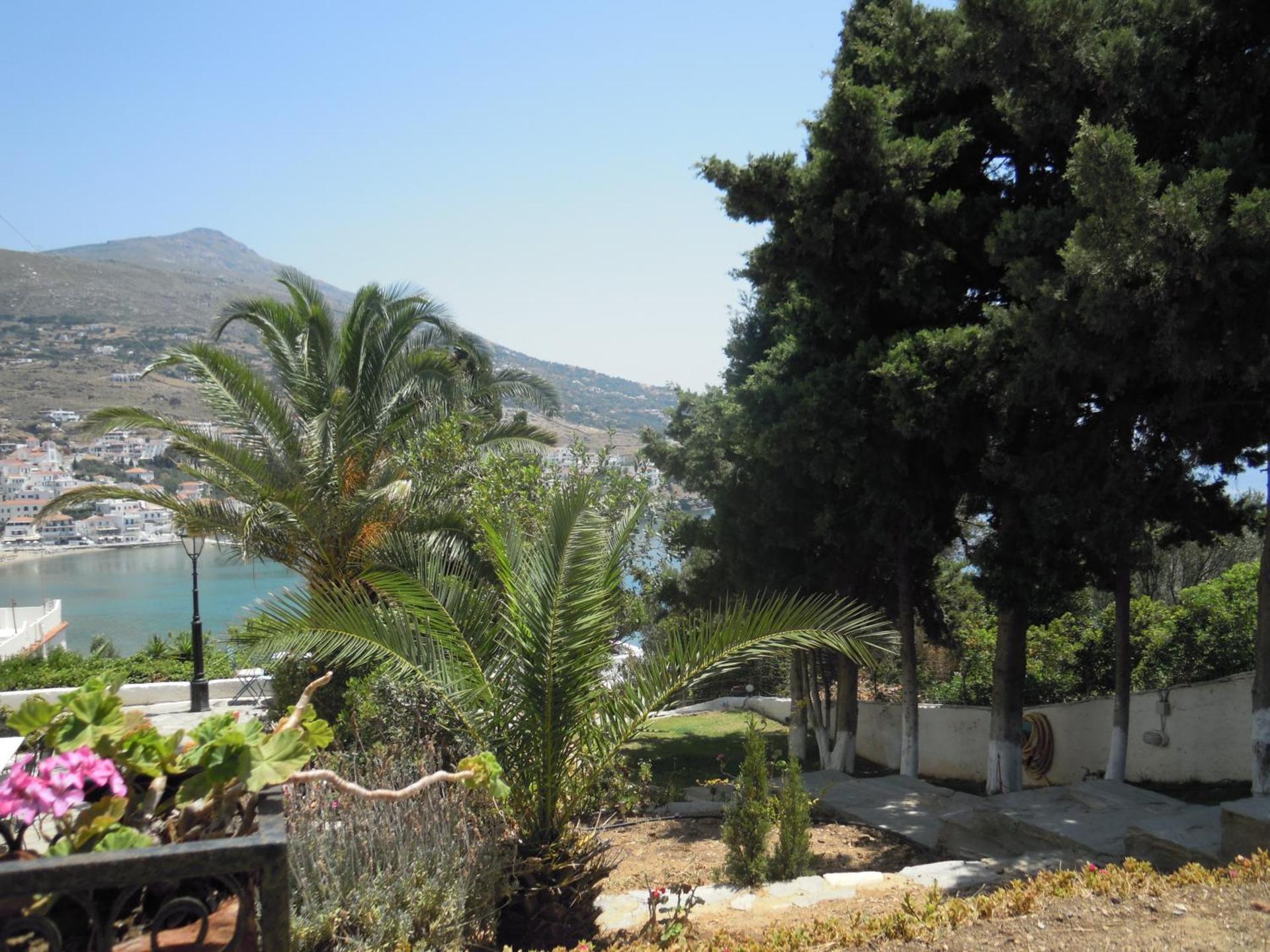 Blue Dolphin - Photo 152