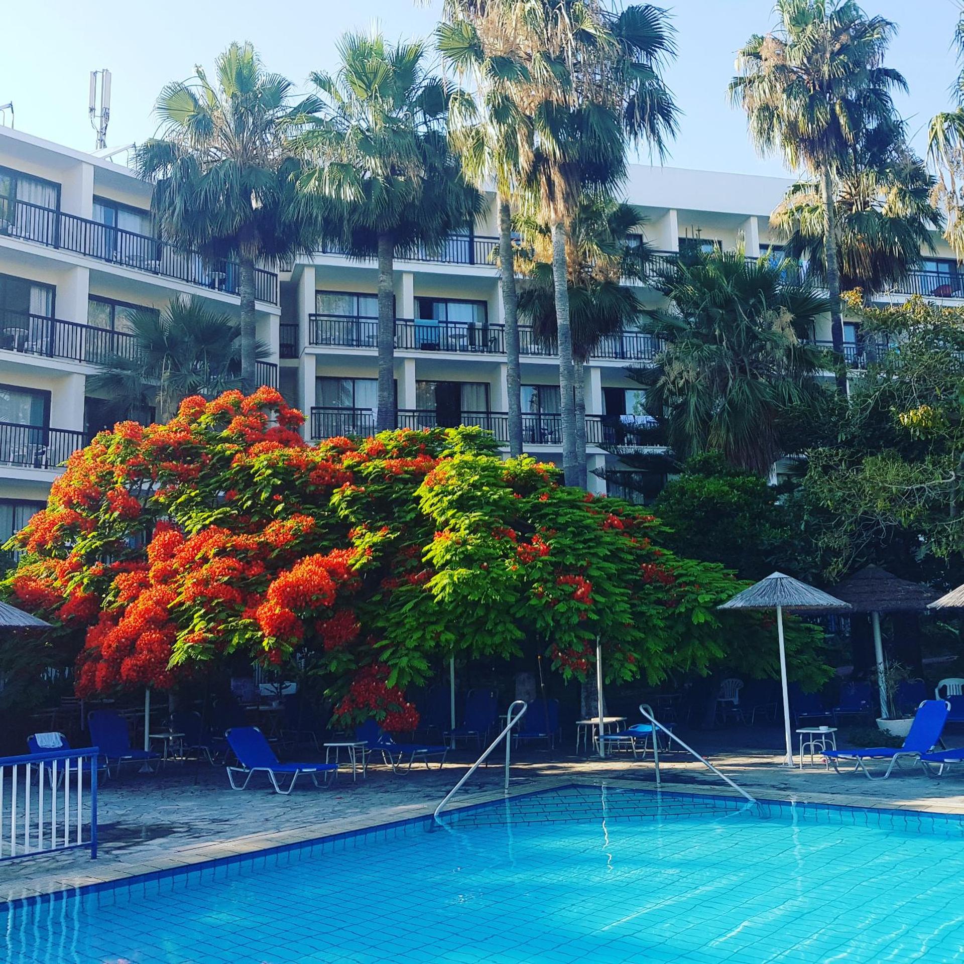 Veronica Hotel - Photo 44