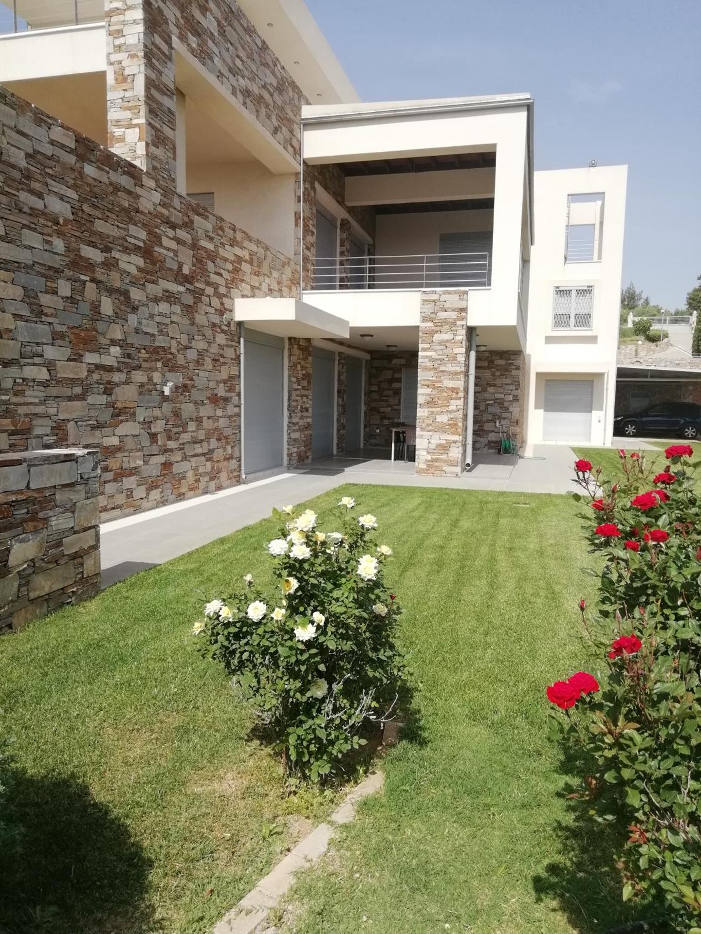 Dimitra - Photo 11