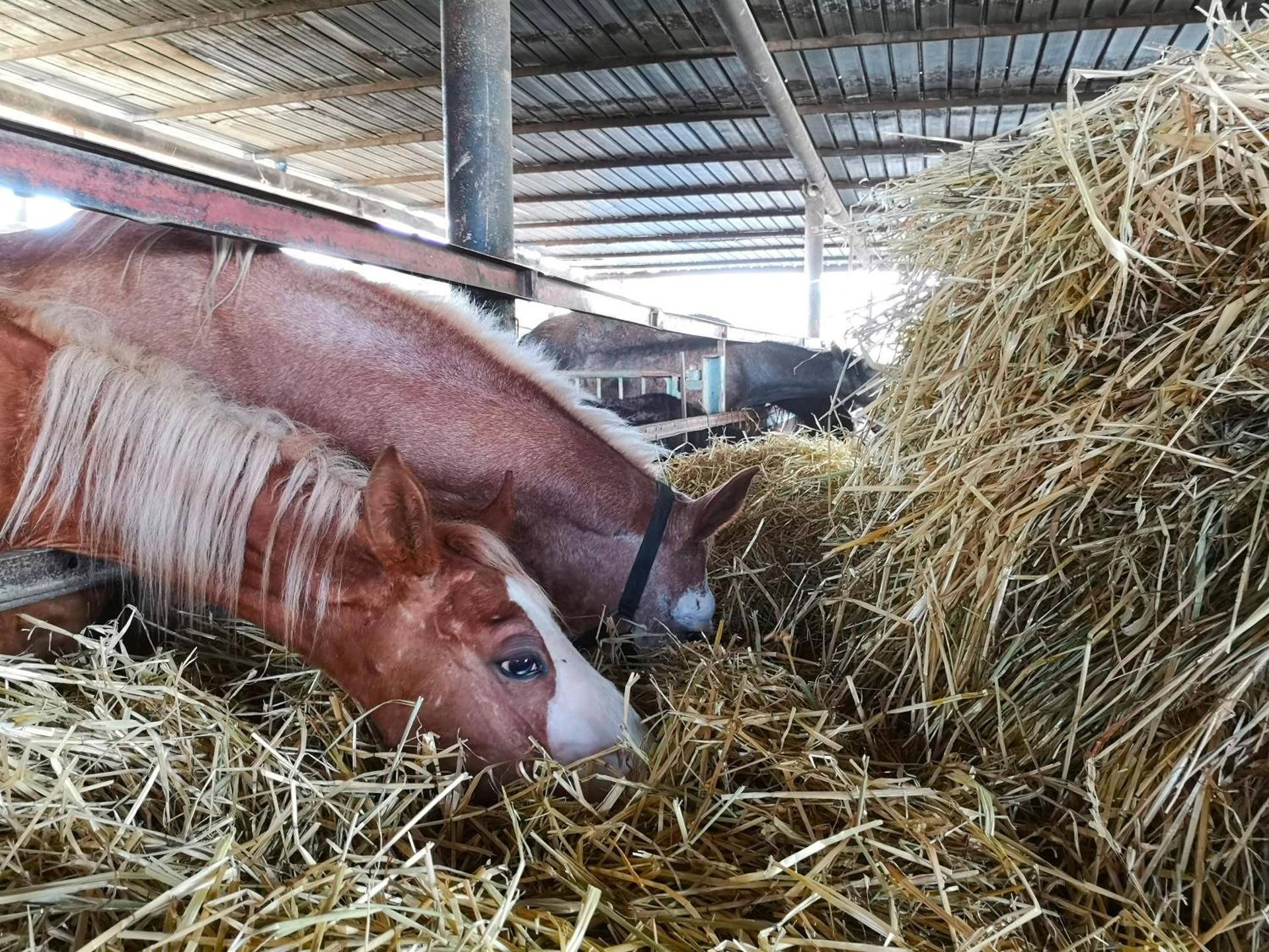 Fontana La Pietra - Photo 20