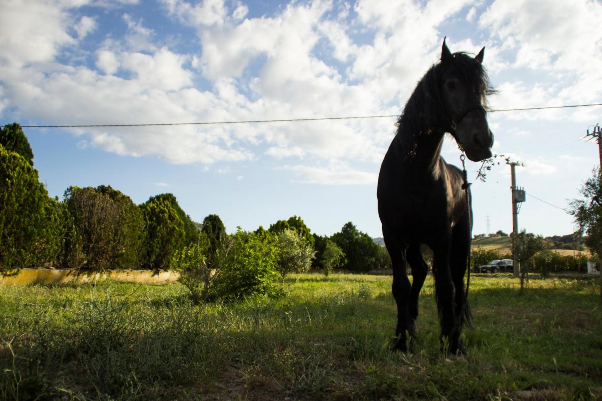 Fontana La Pietra - Photo 8
