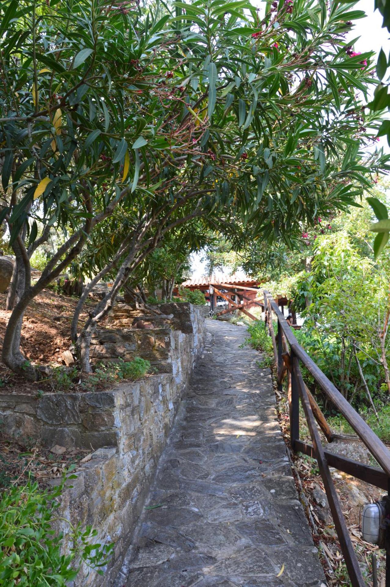 Guesthouse Apanemia - Photo 23