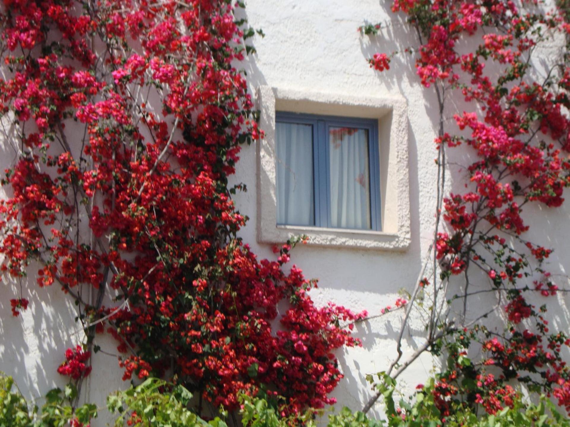 Nikolas Apartments - Photo 21