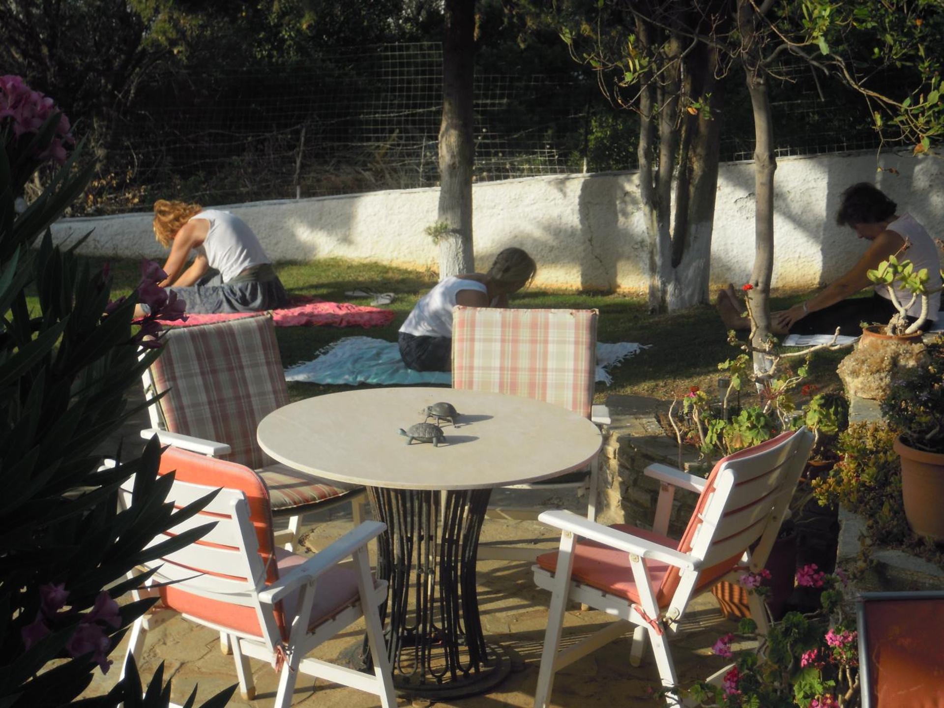 Blue Dolphin - Photo 164