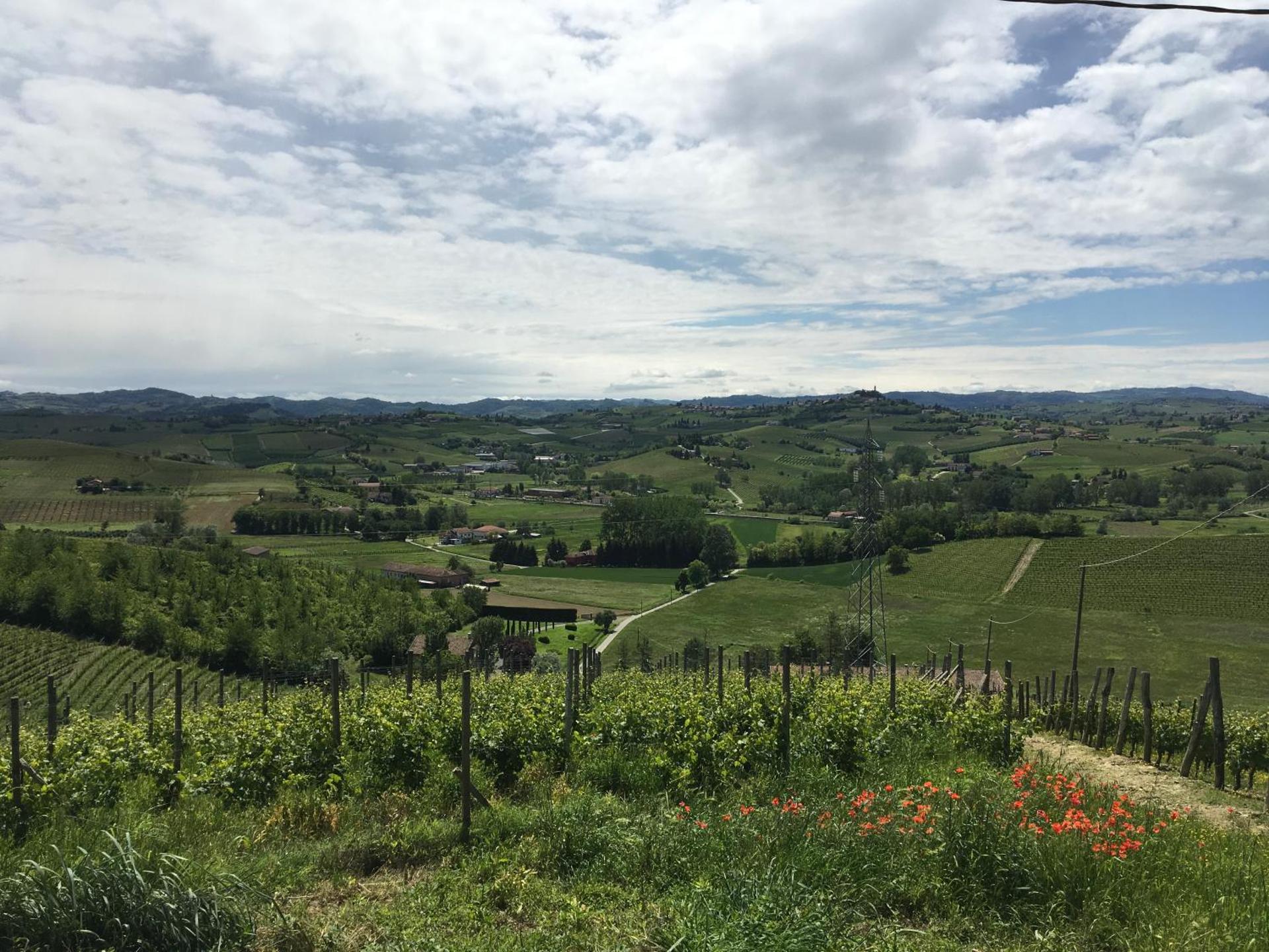 Agriturismo Relais "il Bricco" - Photo 4