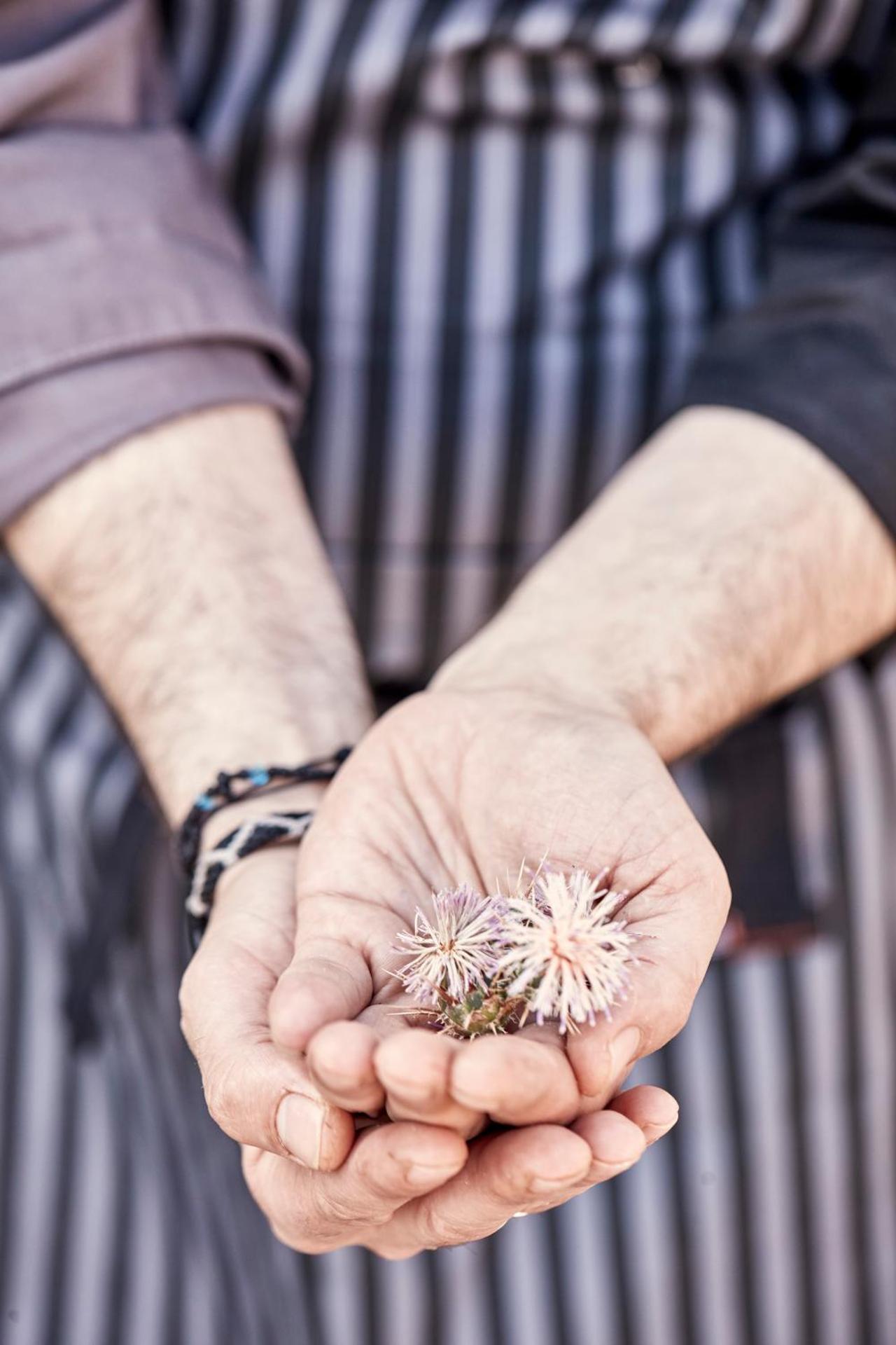 Archipelagos Hotel - Small Luxury Hotels of the World - Photo 87