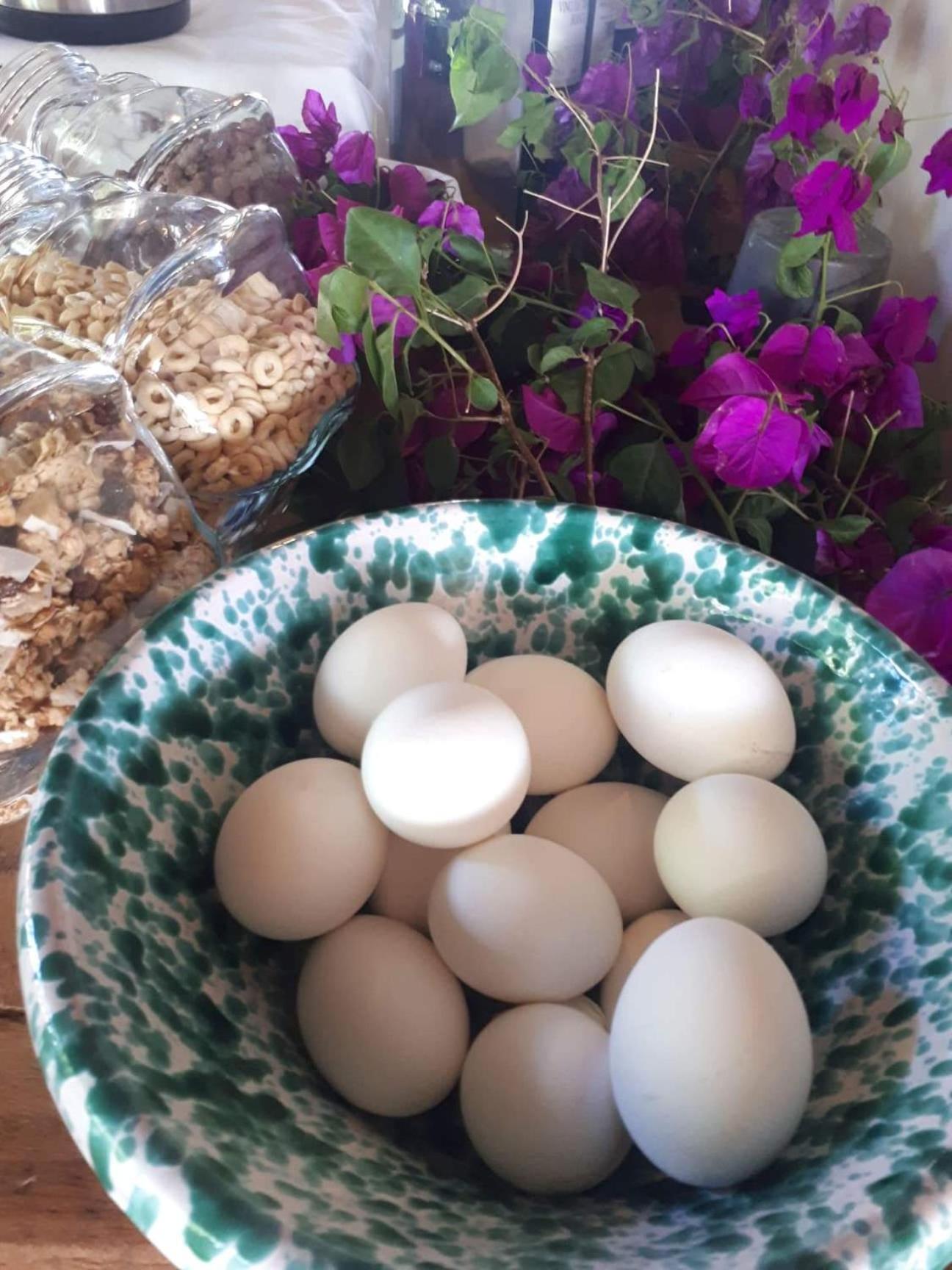 La Fattoria Dei Nonni - Photo 150