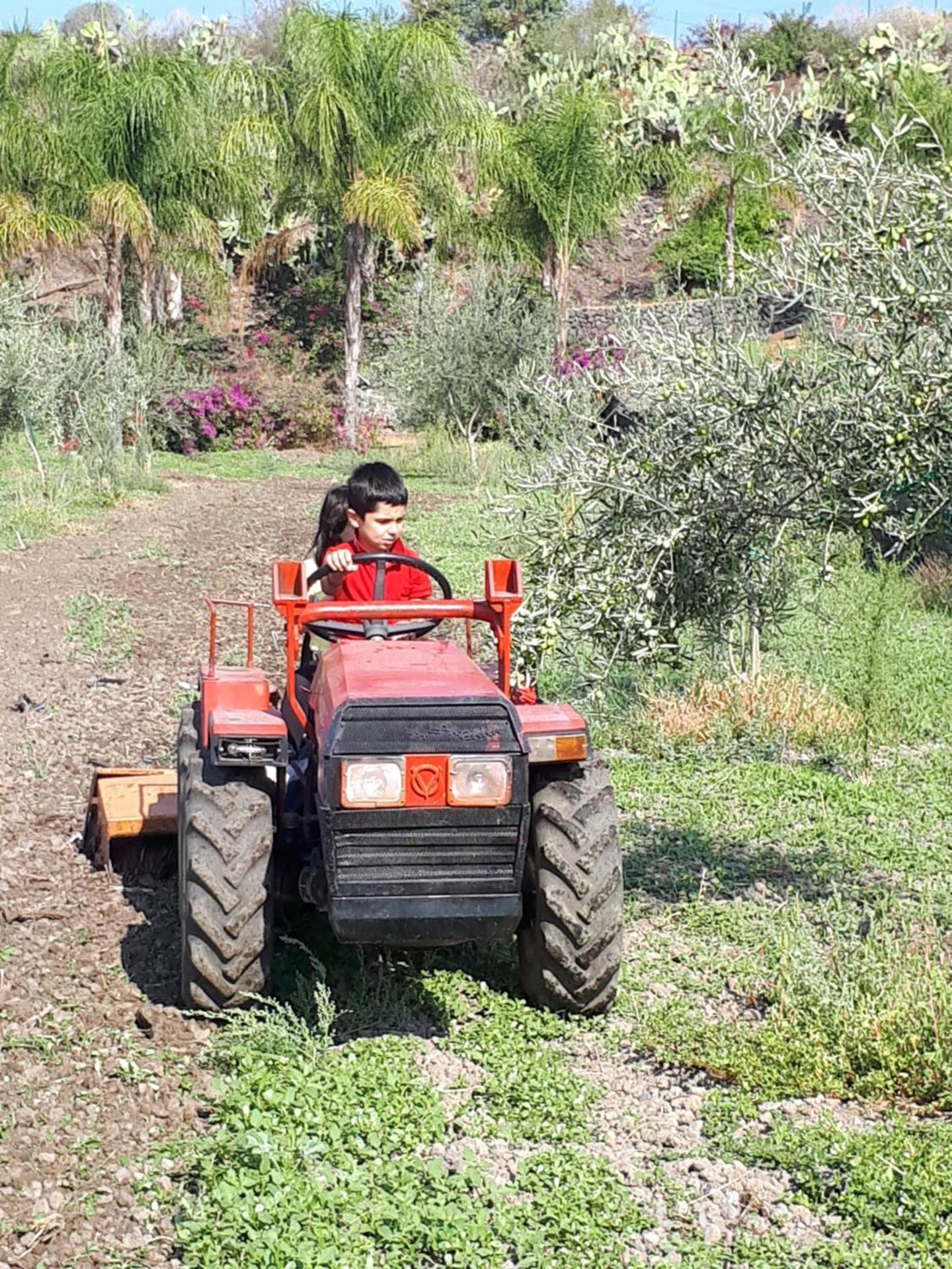 La Fattoria Dei Nonni - Photo 142