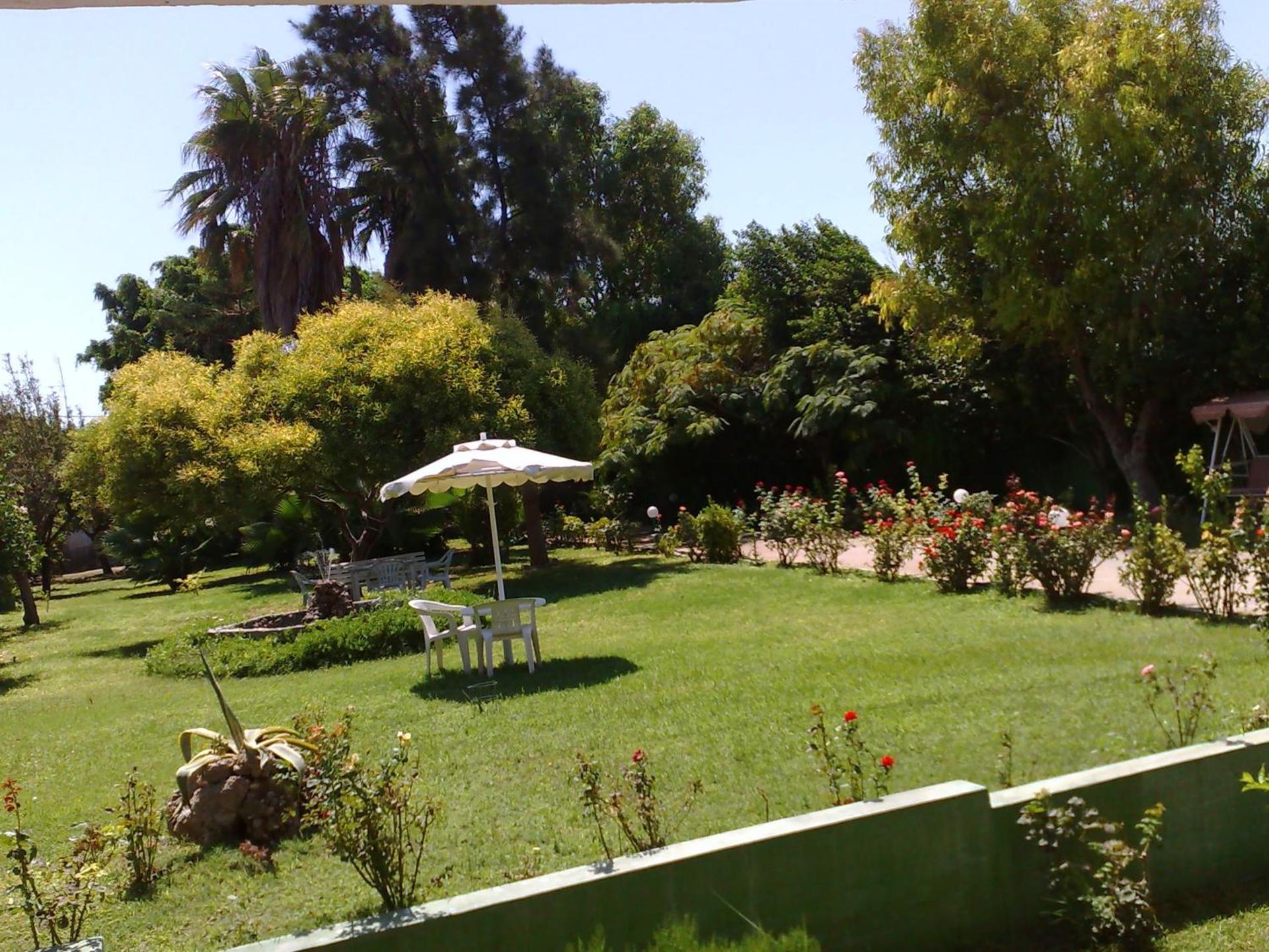 Alexia Apartments & Studios - Photo 8