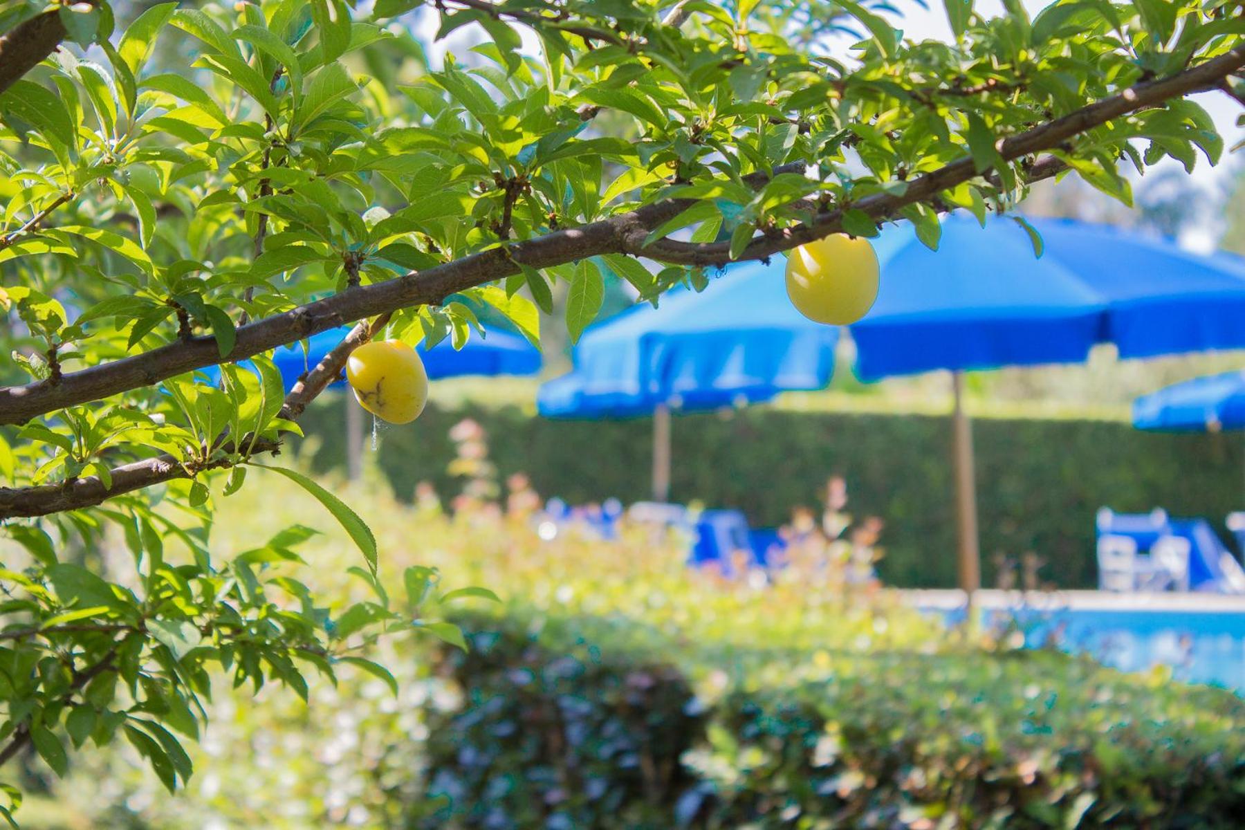 B&B Da Pio - Photo 78