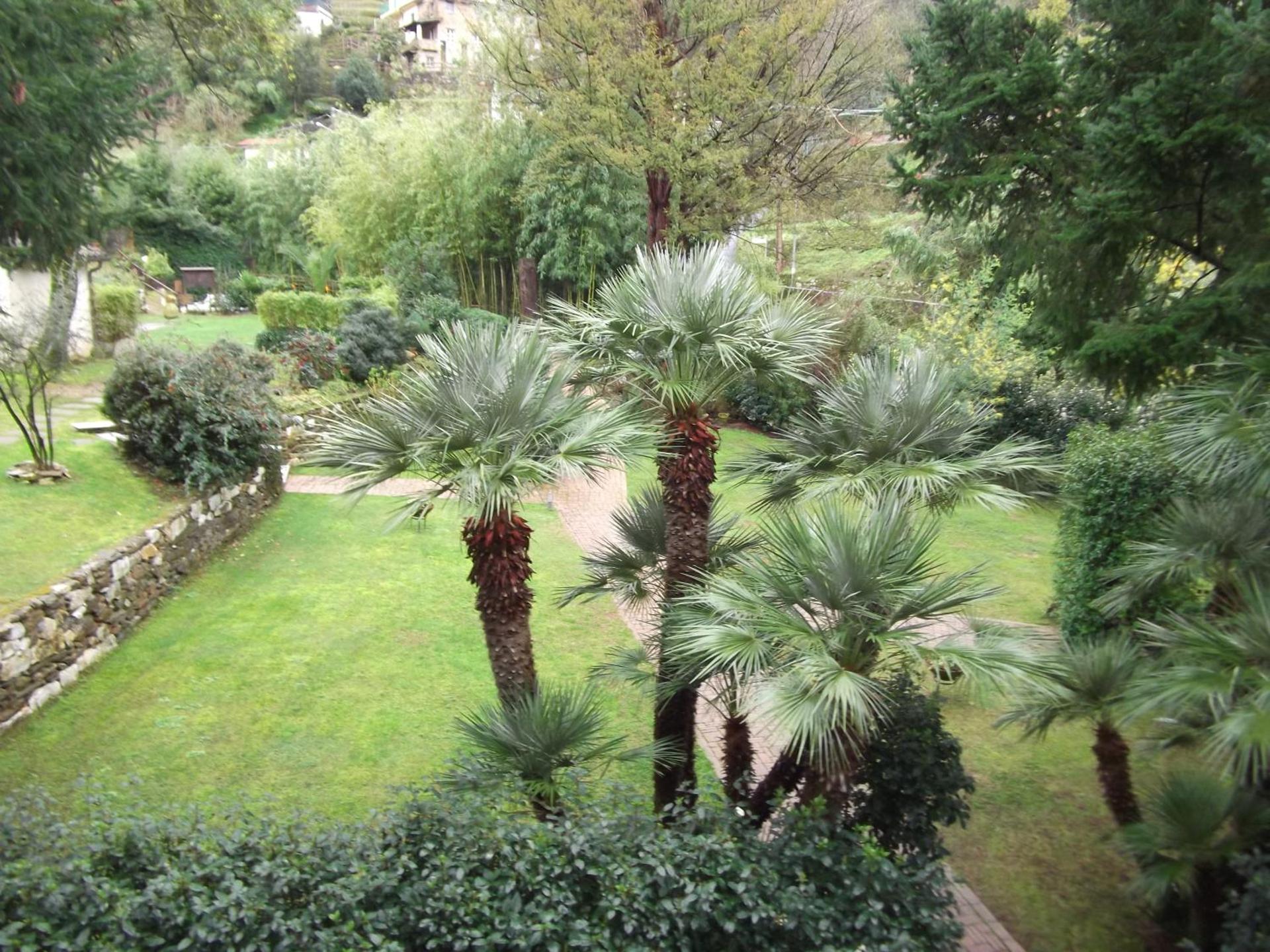 L'Arcadia - Photo 32