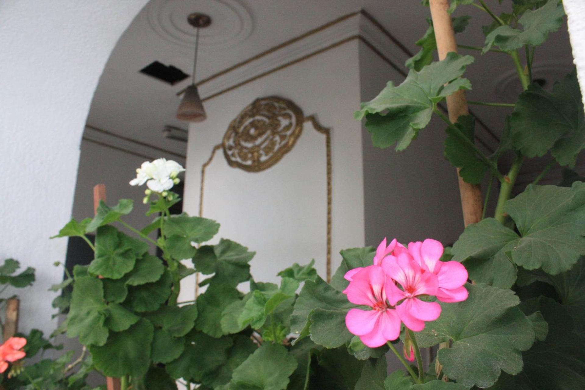 Casa de la Luna - Photo 7