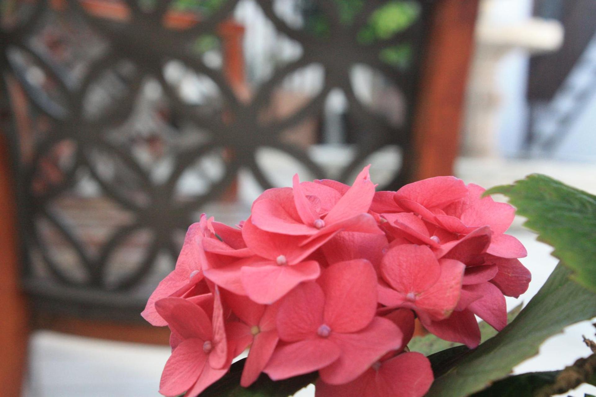 Casa de la Luna - Photo 58