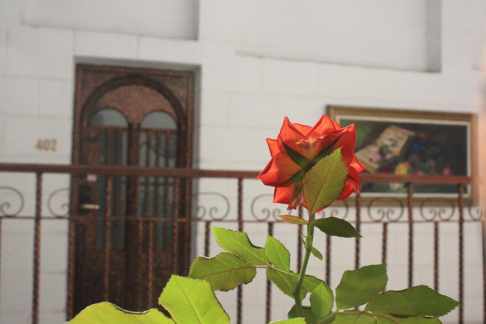 Casa de la Luna - Photo 34