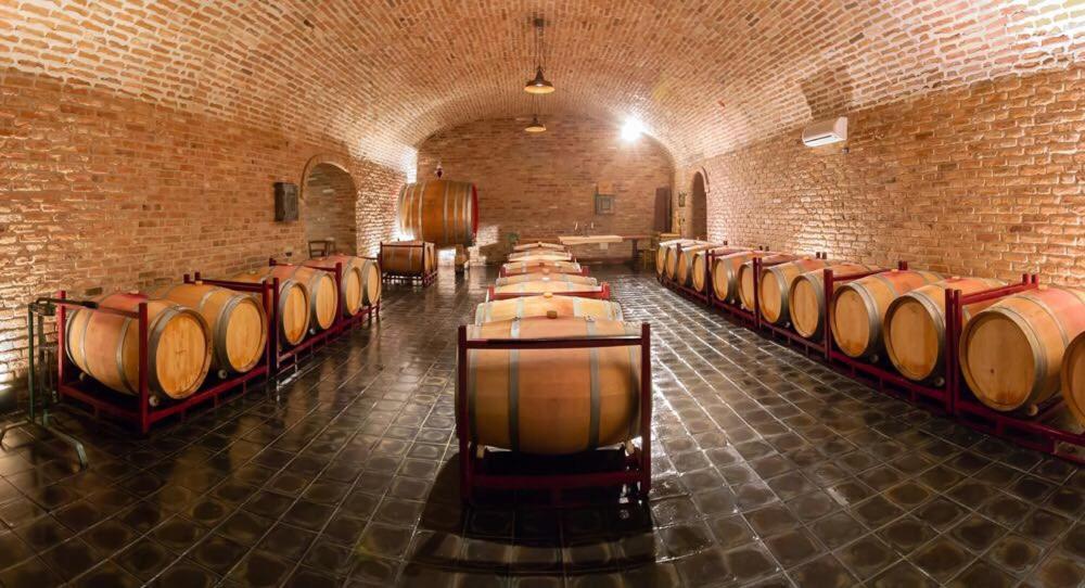 Villa Laura - Photo 95