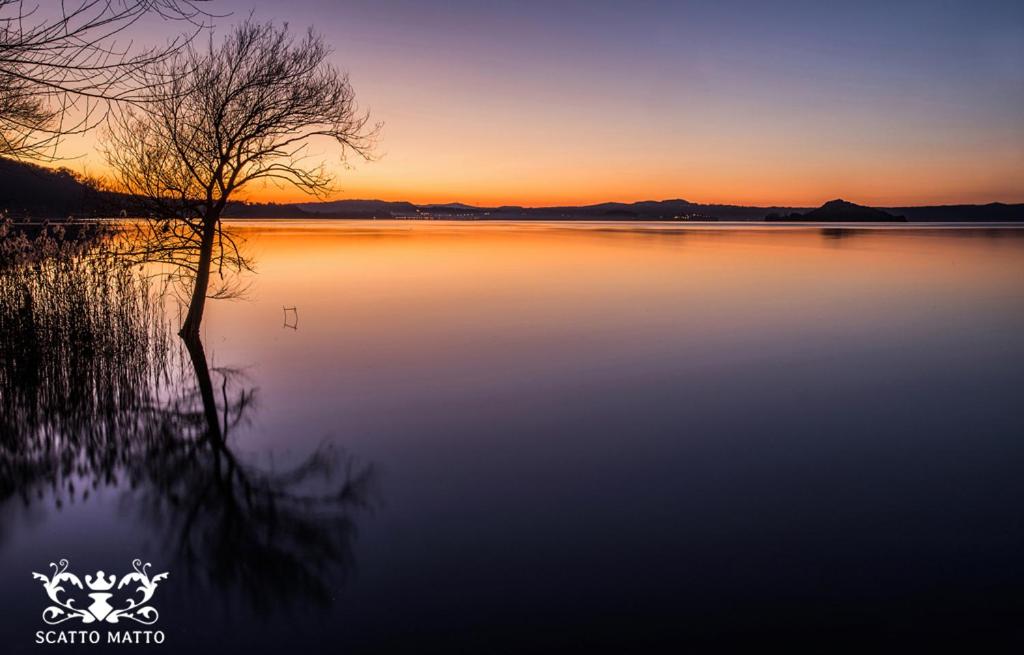 Hotel Italia & Lombardi - Photo 18