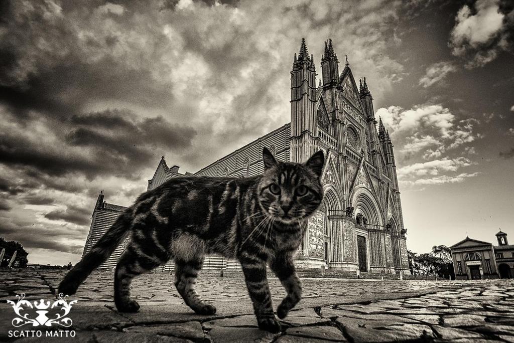 Hotel Italia & Lombardi - Photo 7