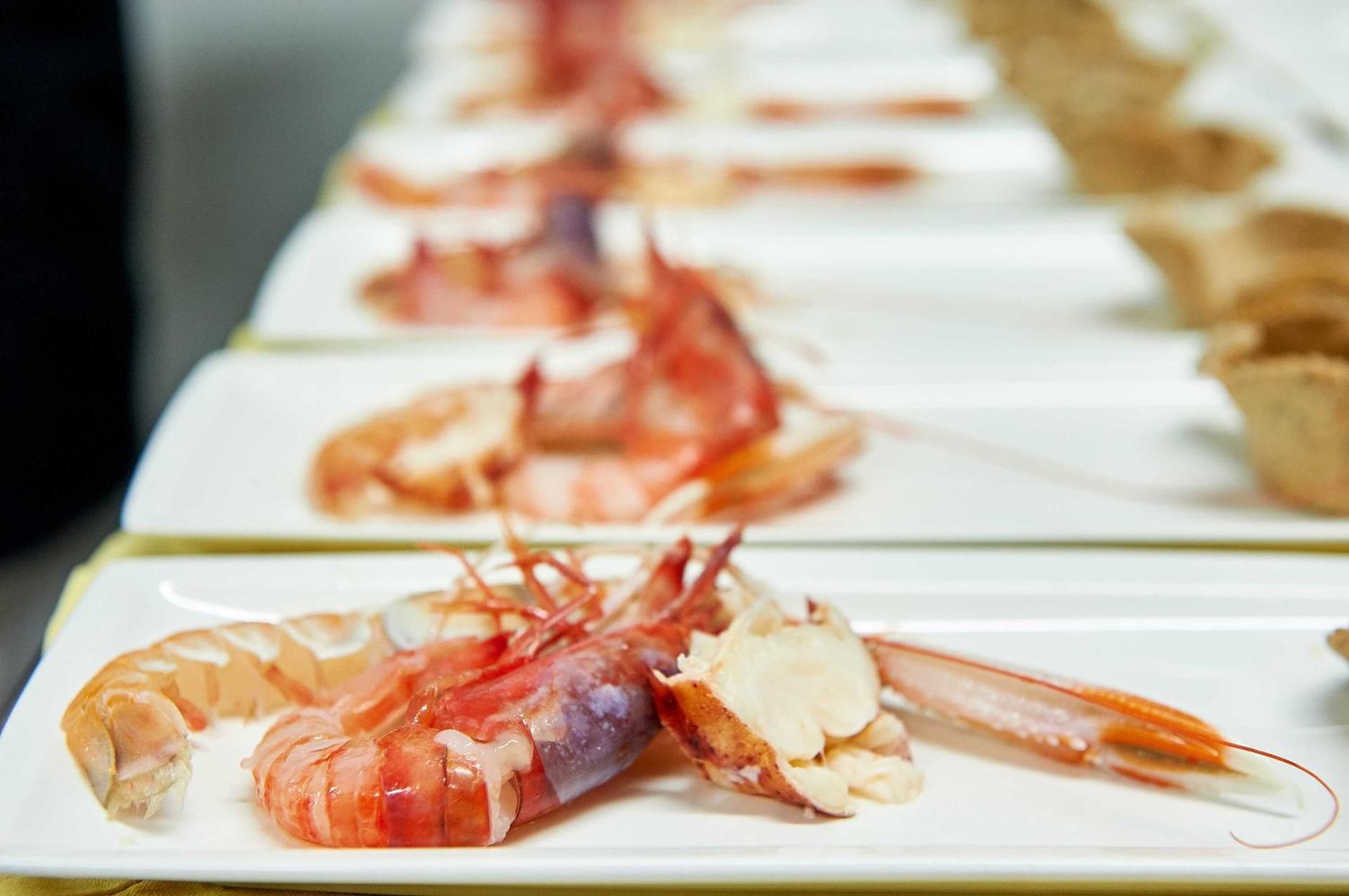 Hotel Corallo - Photo 29