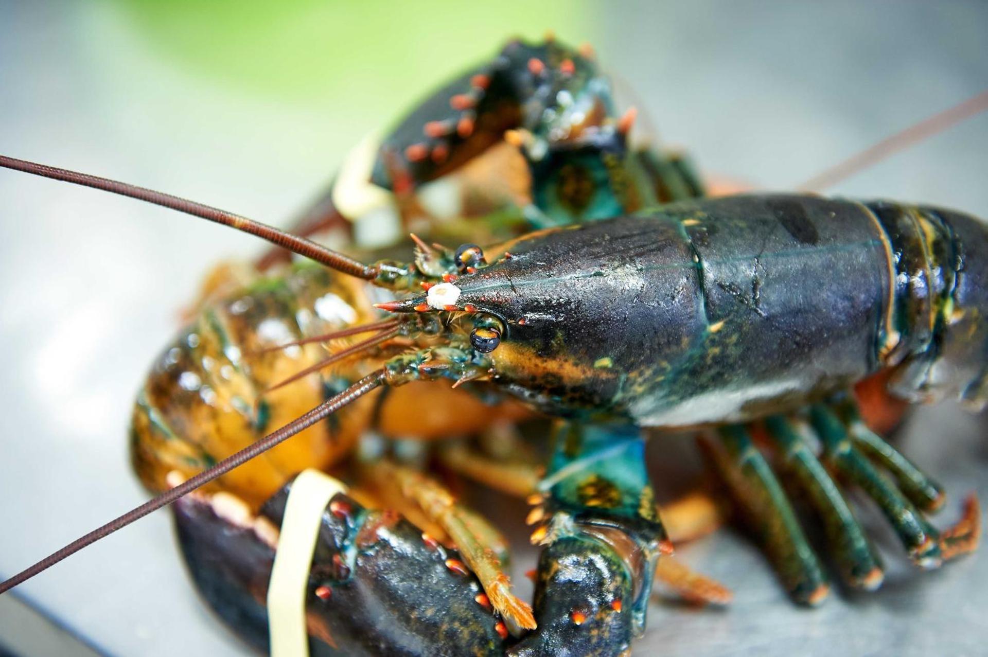 Hotel Corallo - Photo 27