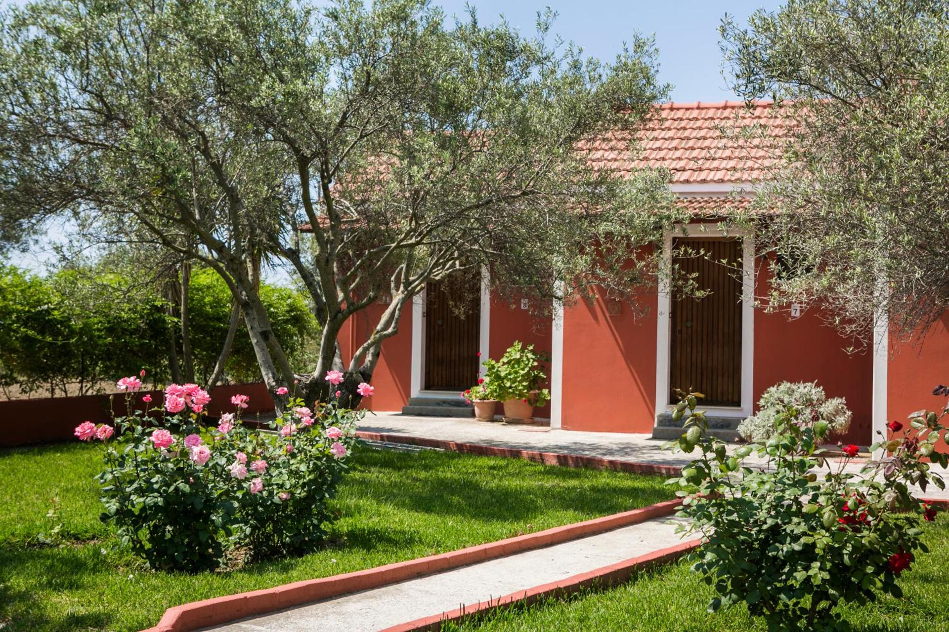 Dendrolivano - Photo 49