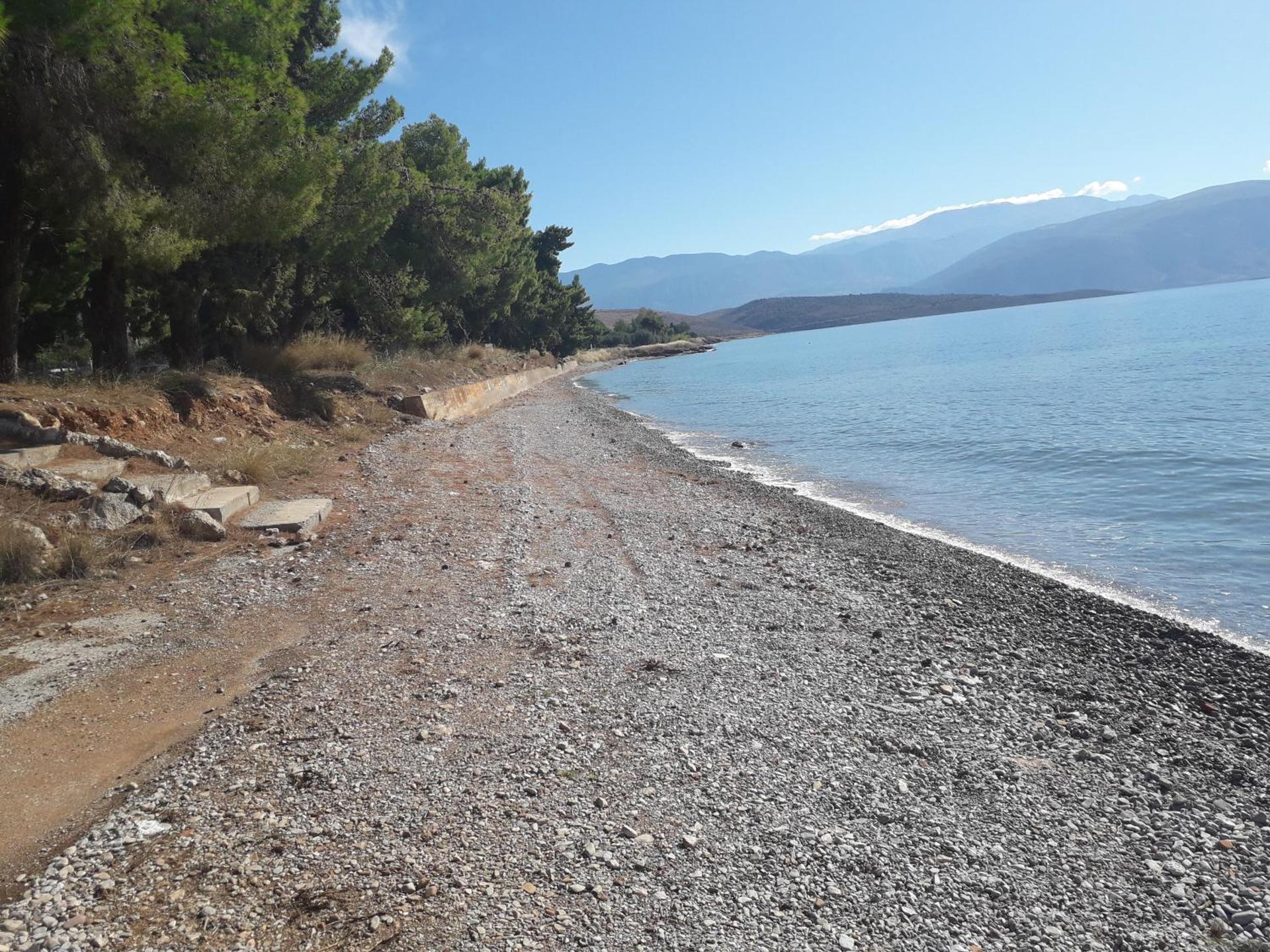 Elea Guesthouse - Photo 72