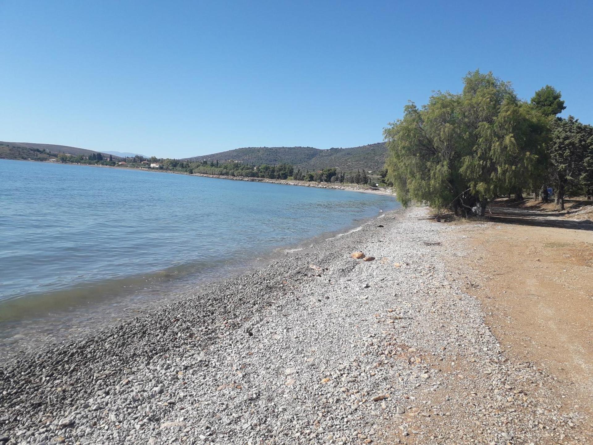 Elea Guesthouse - Photo 15