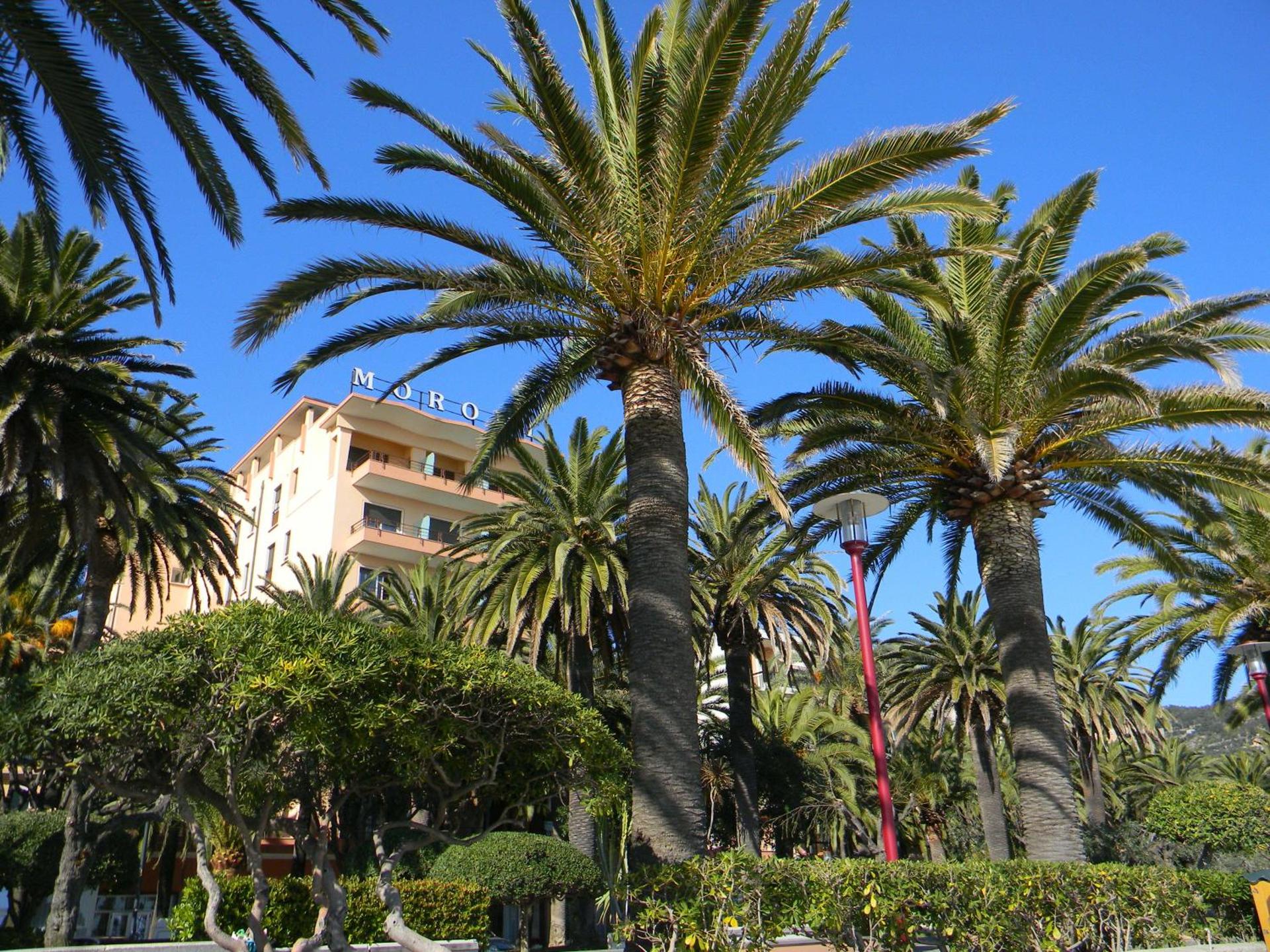 Grand Hotel Moroni - Photo 31