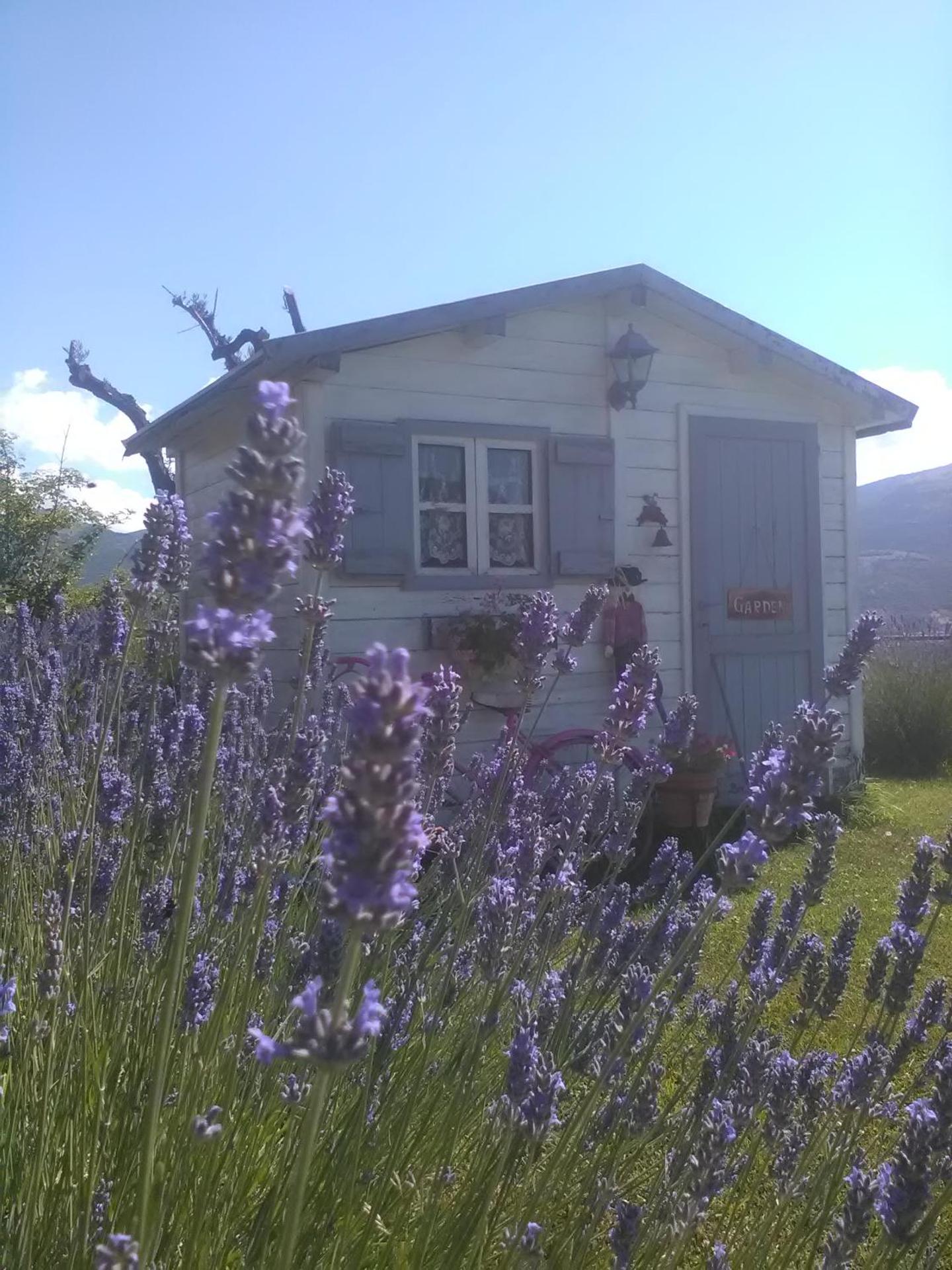 B&B Fonte Cugno - Photo 17
