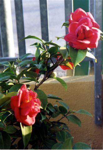 Residence Viale Venezia - Photo 44