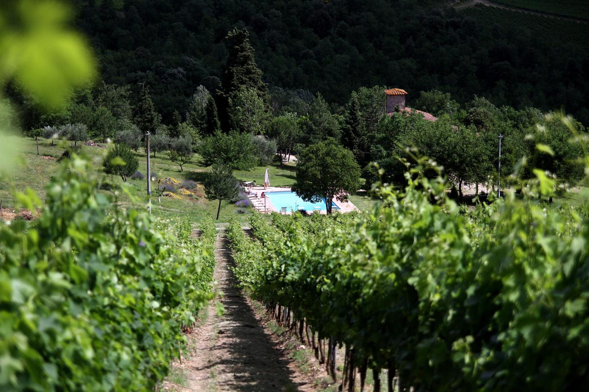 Podere Vignola - Photo 240