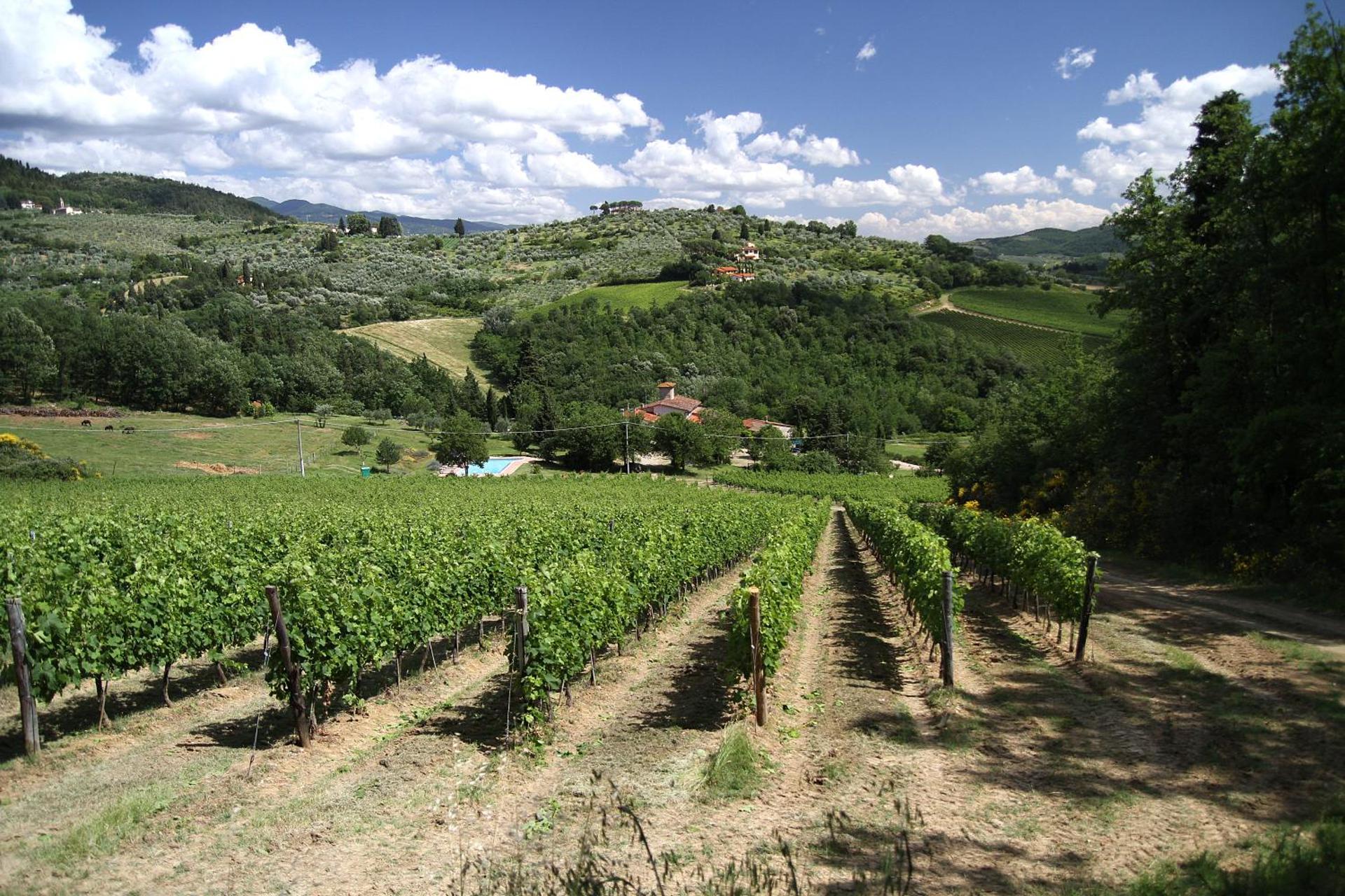 Podere Vignola - Photo 237