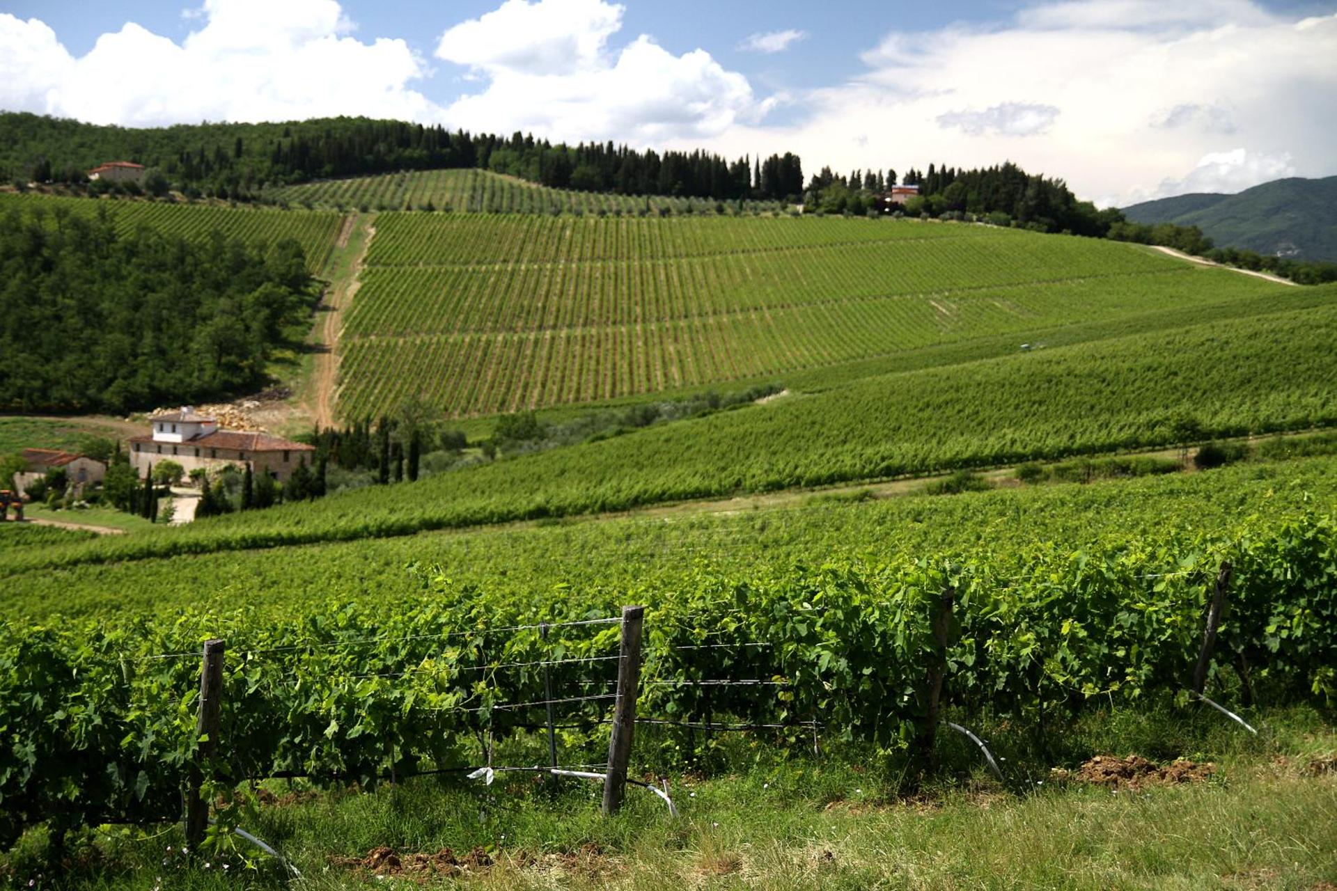 Podere Vignola - Photo 238