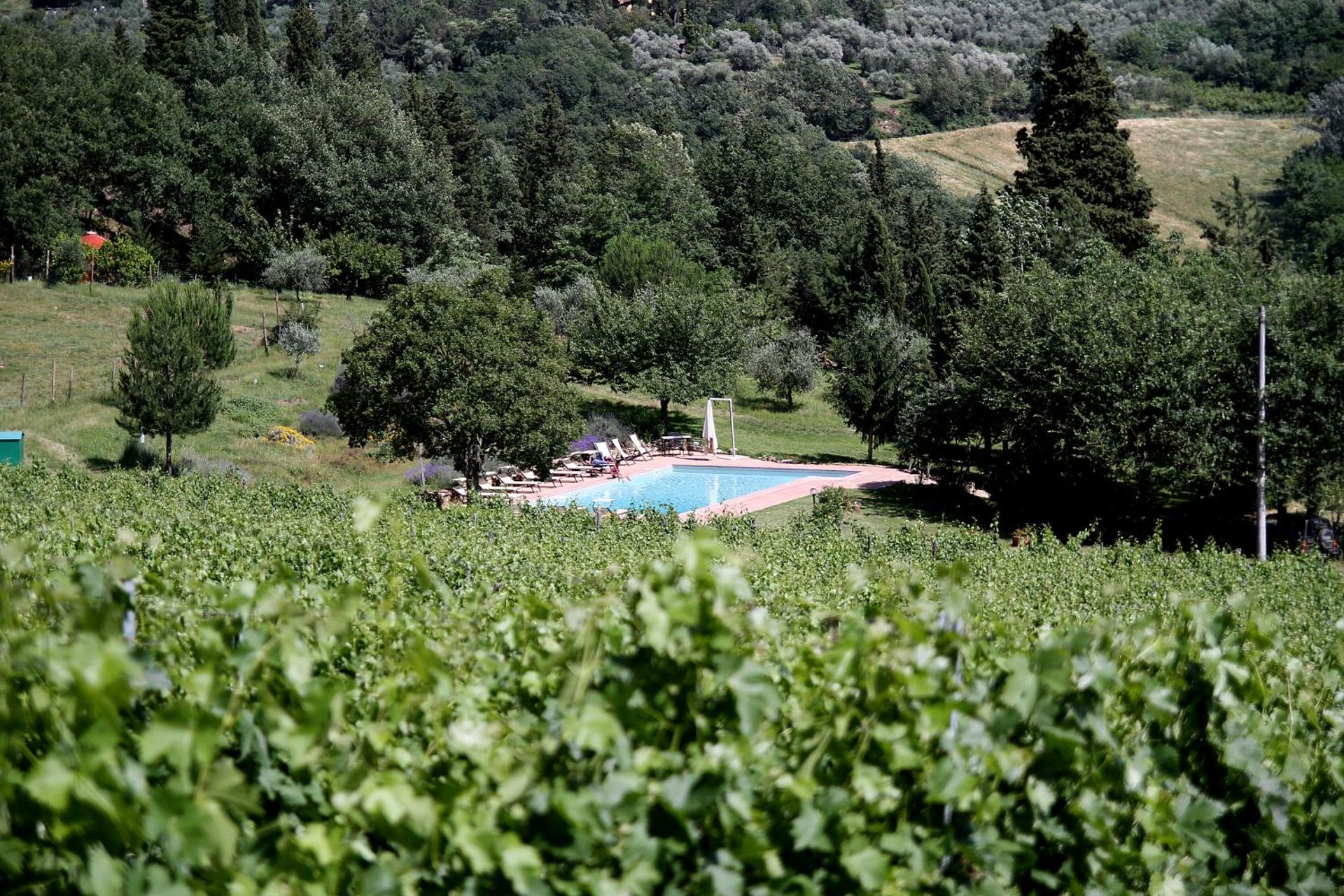 Podere Vignola - Photo 245