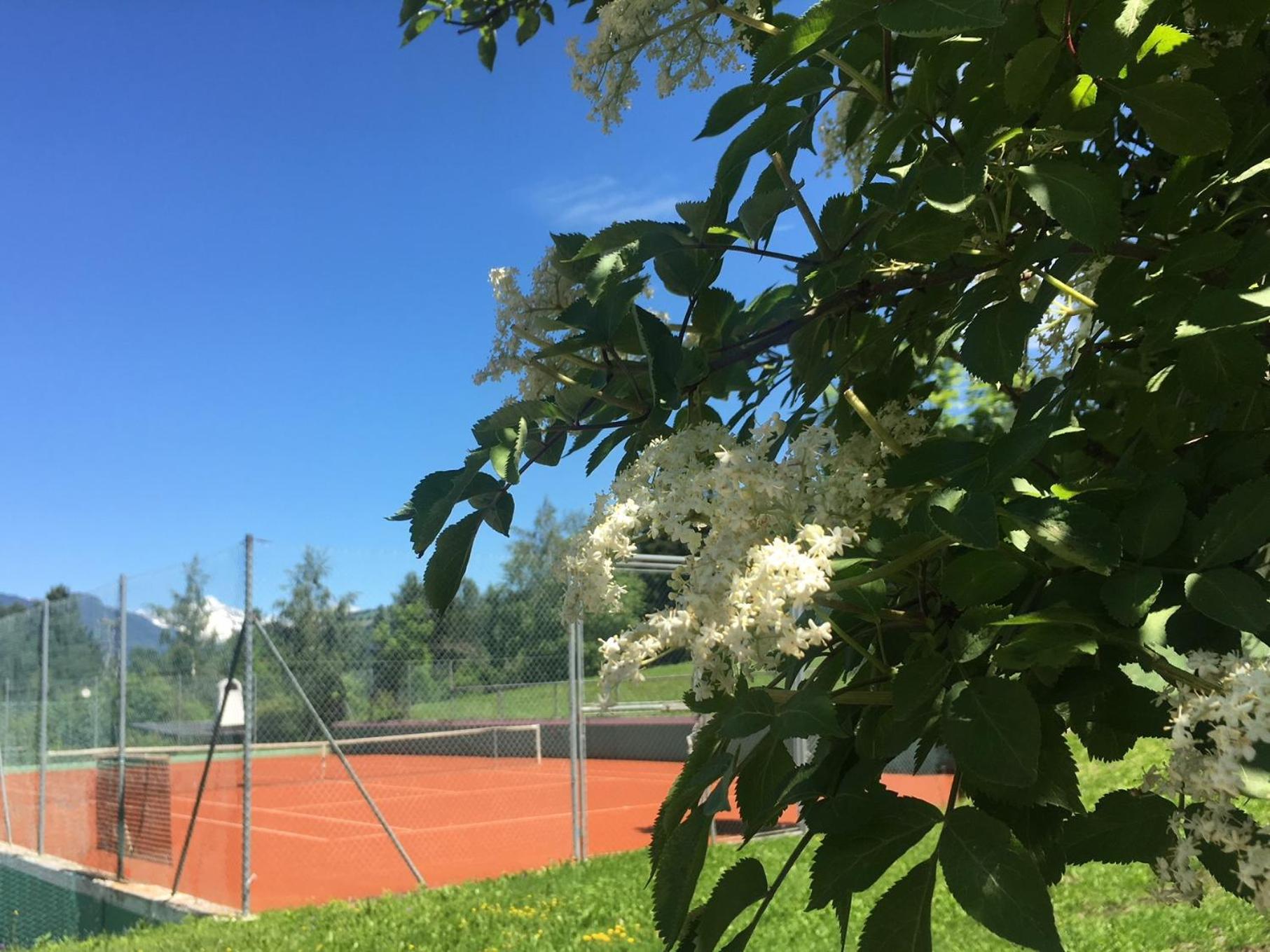 Royal Hotel Hinterhuber - Photo 36