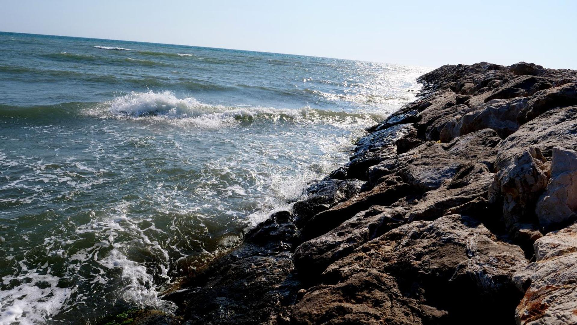 Rambuje Resort - Photo 24