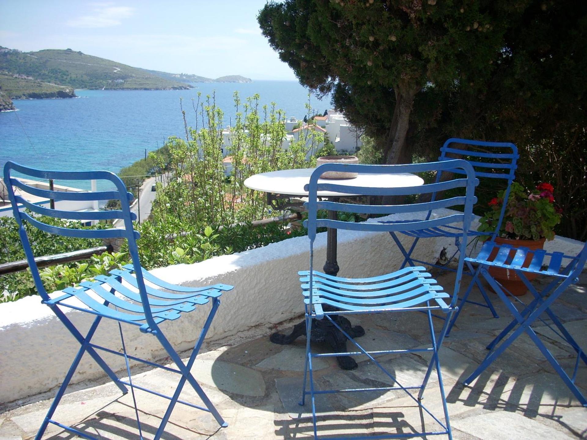 Blue Dolphin - Photo 134