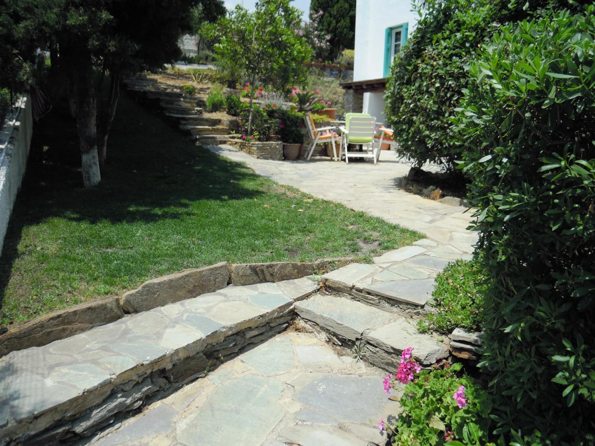 Blue Dolphin - Photo 213