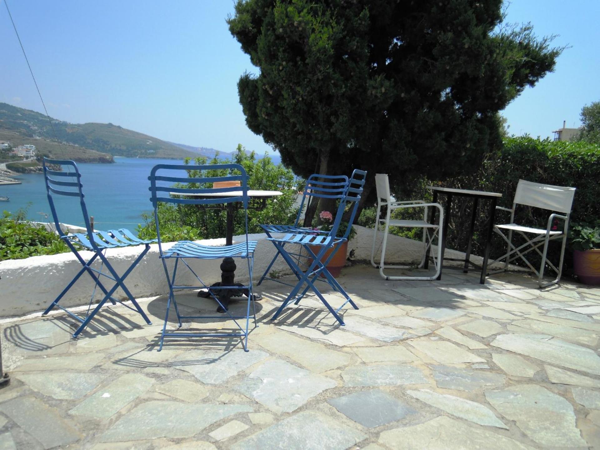 Blue Dolphin - Photo 193