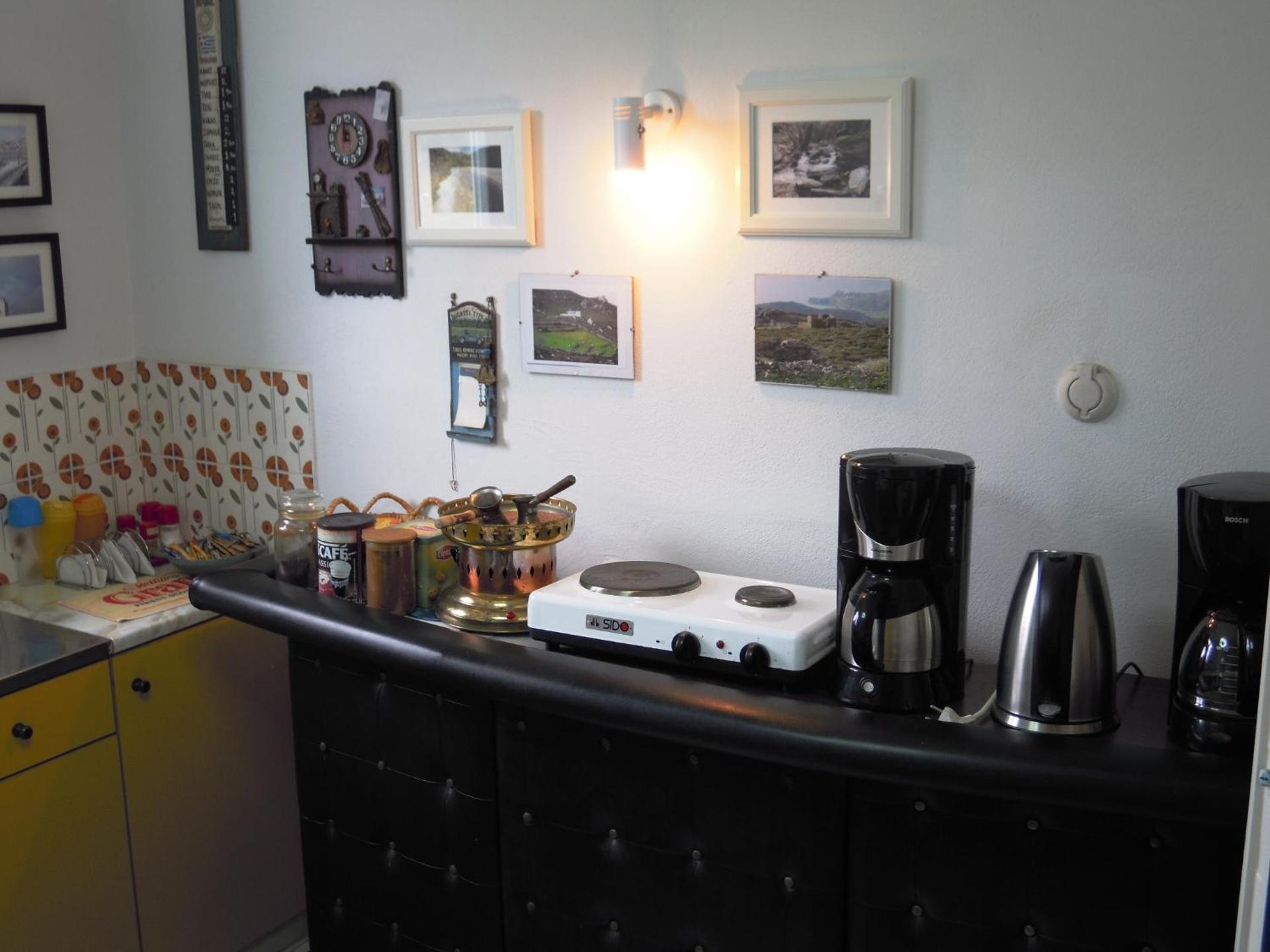 Blue Dolphin - Photo 210