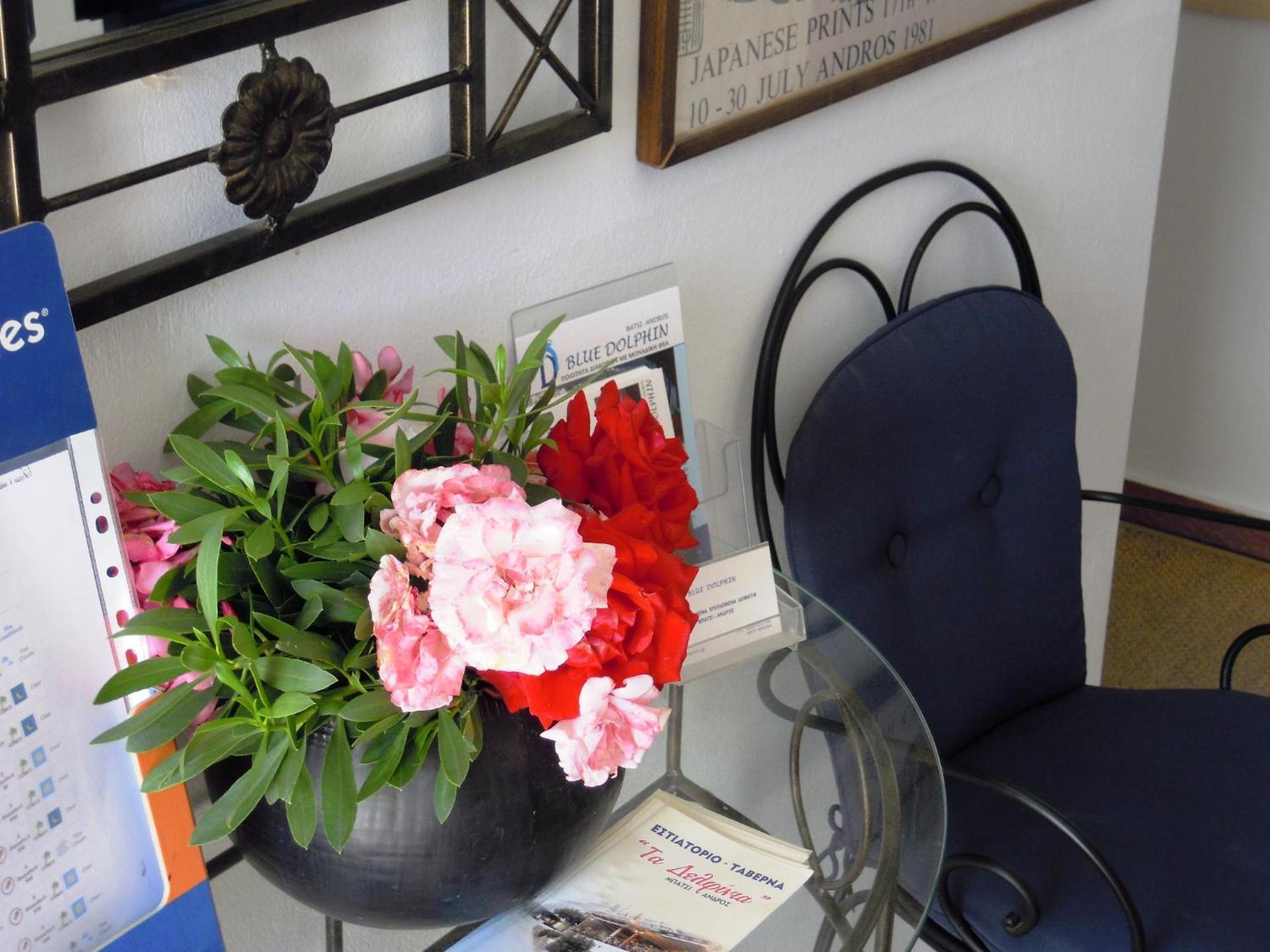 Blue Dolphin - Photo 227