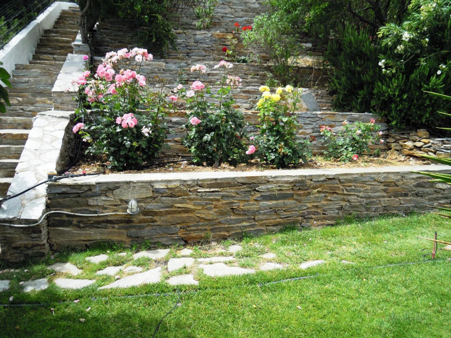 Blue Dolphin - Photo 229