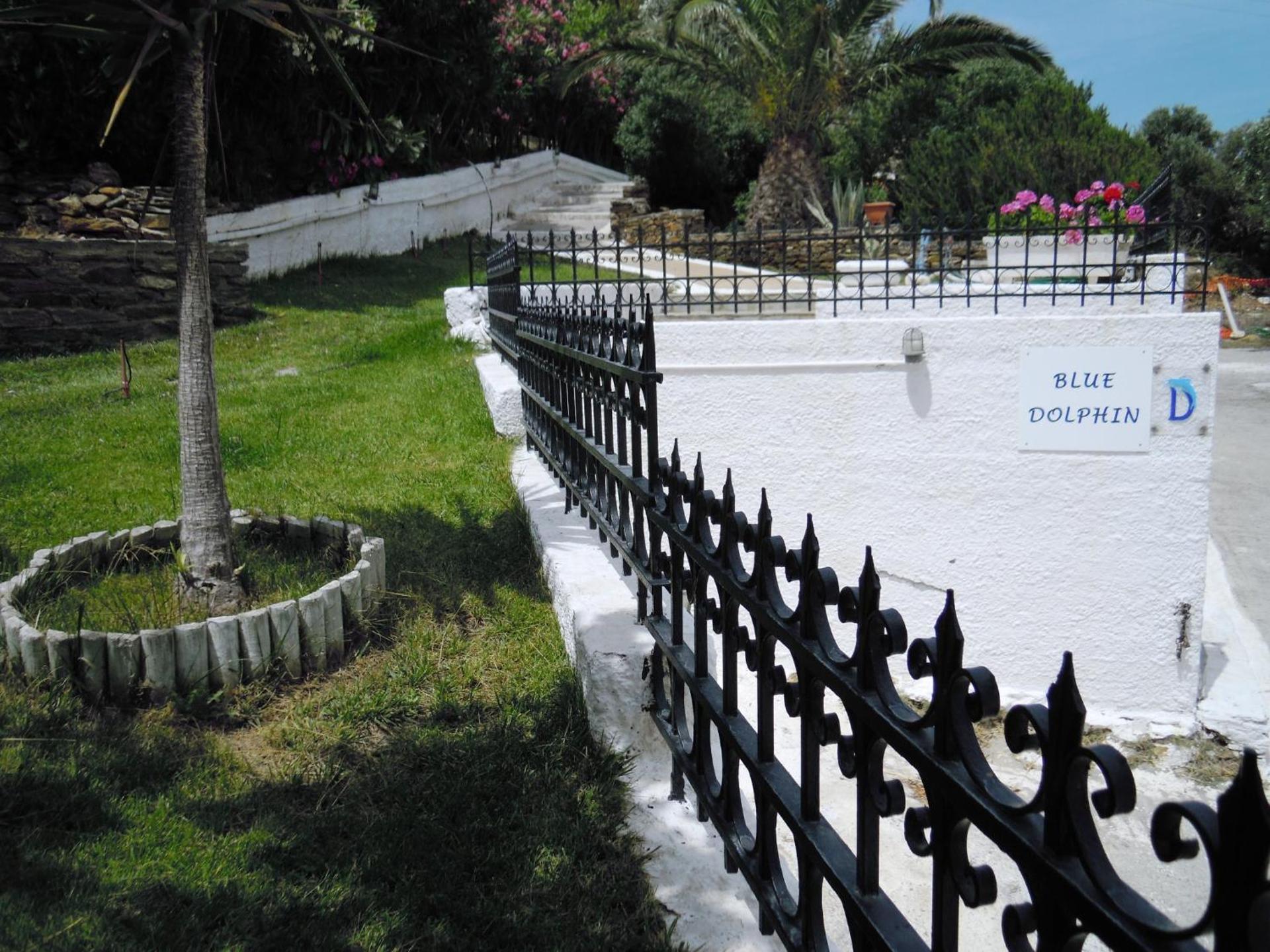 Blue Dolphin - Photo 201