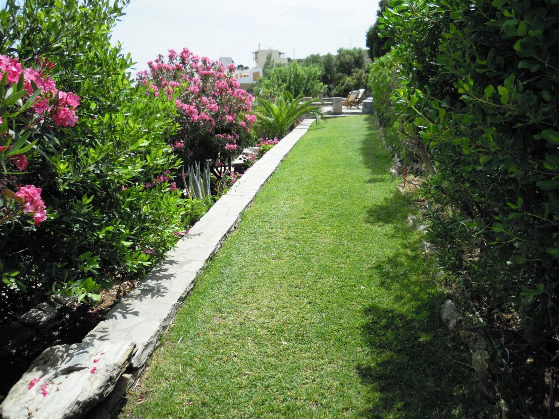 Blue Dolphin - Photo 194