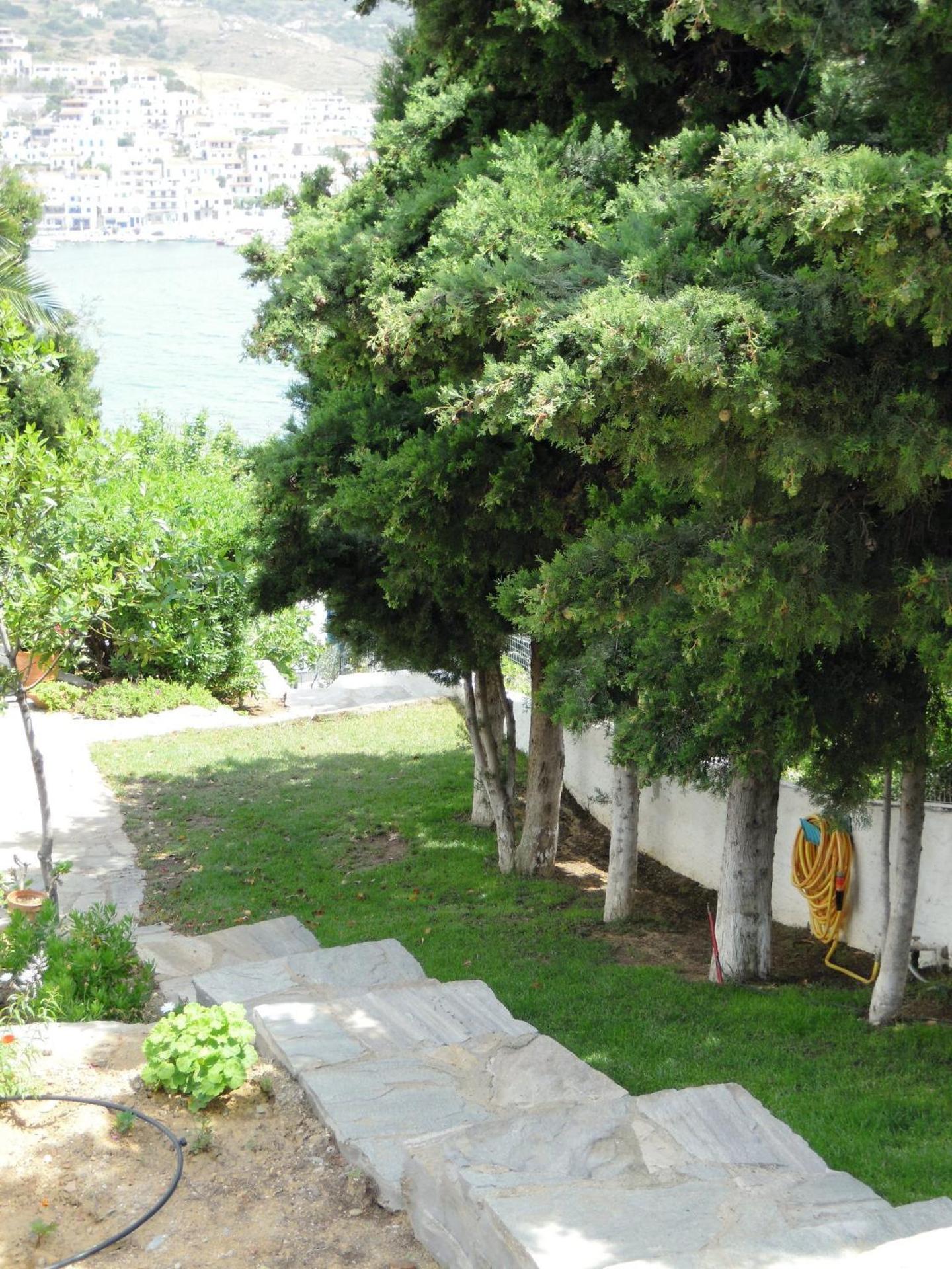 Blue Dolphin - Photo 232