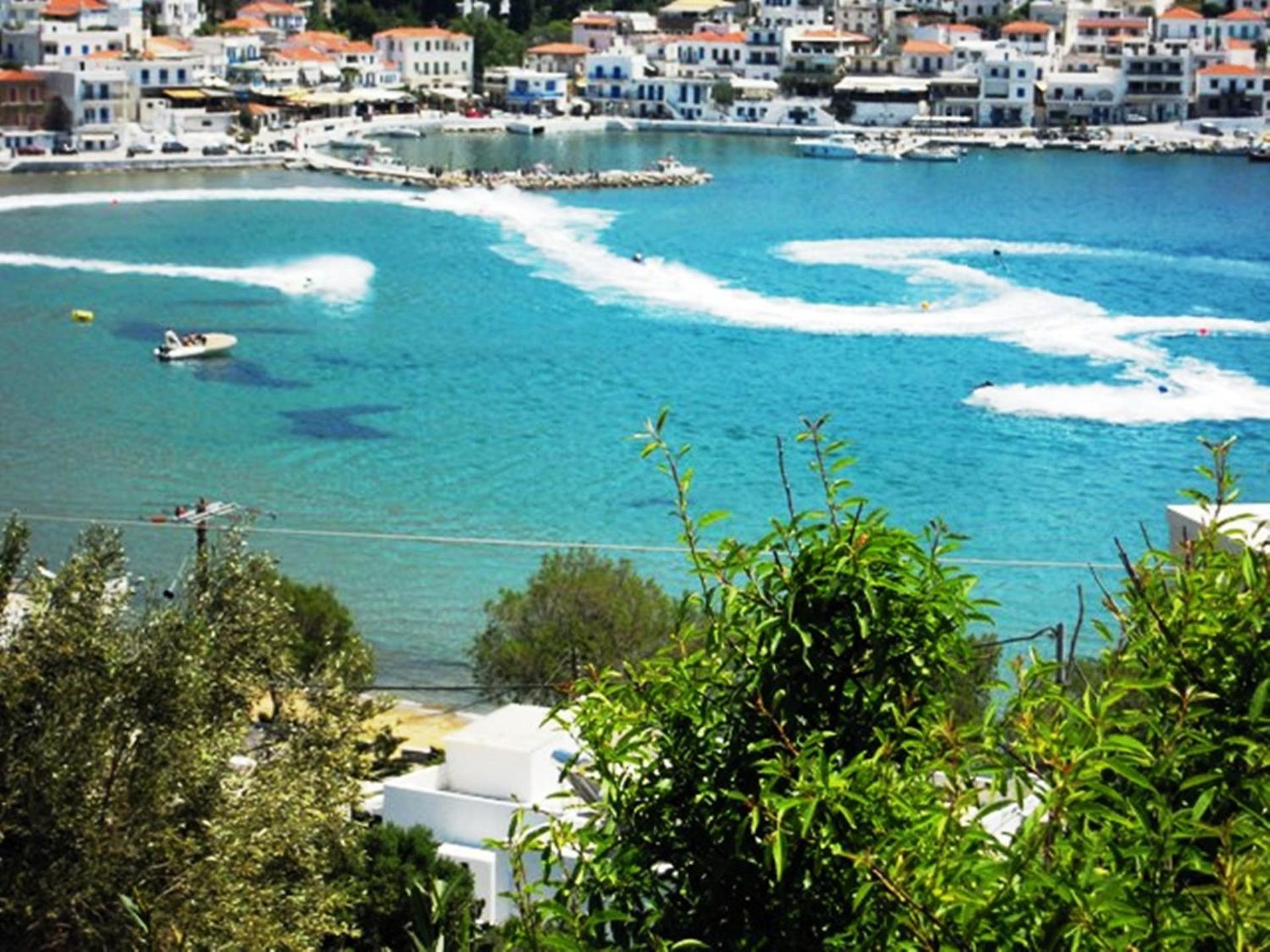 Blue Dolphin - Photo 217