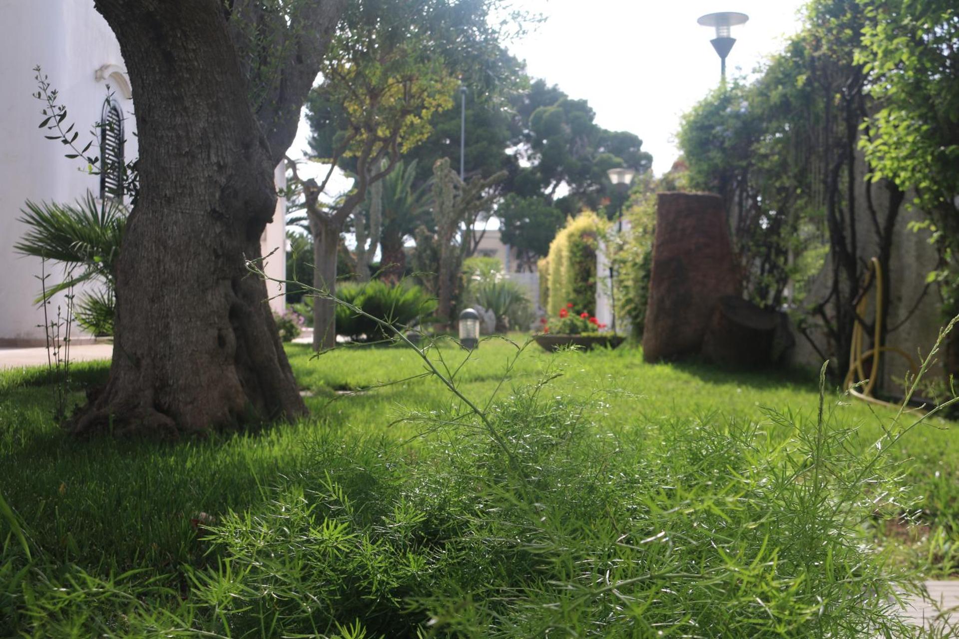 Villa Andrea - Photo 8