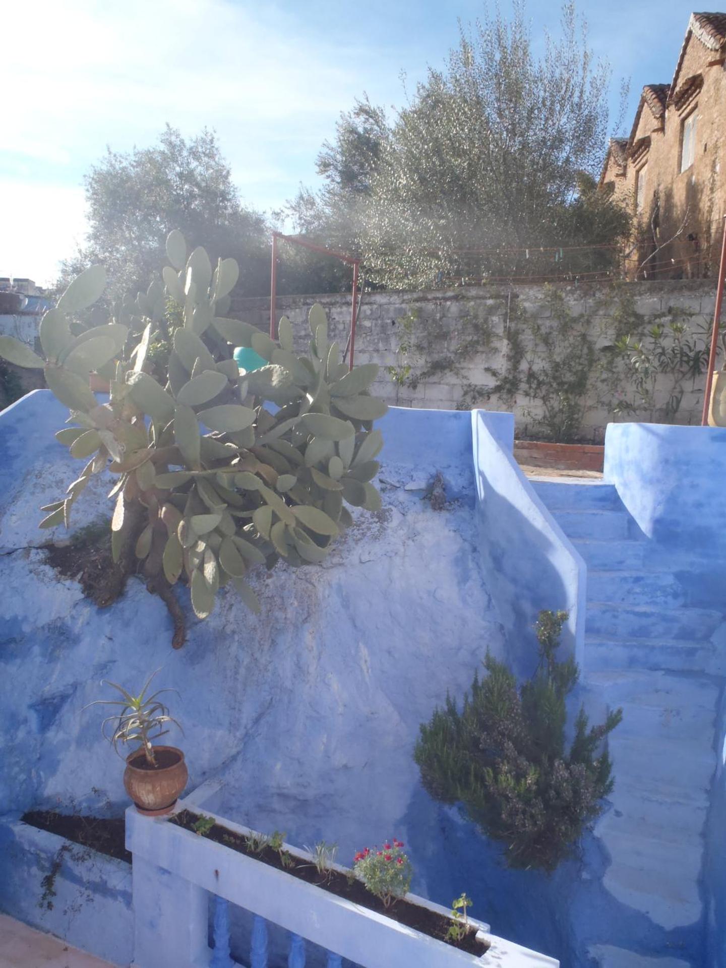 Dar Dalia - Photo 27