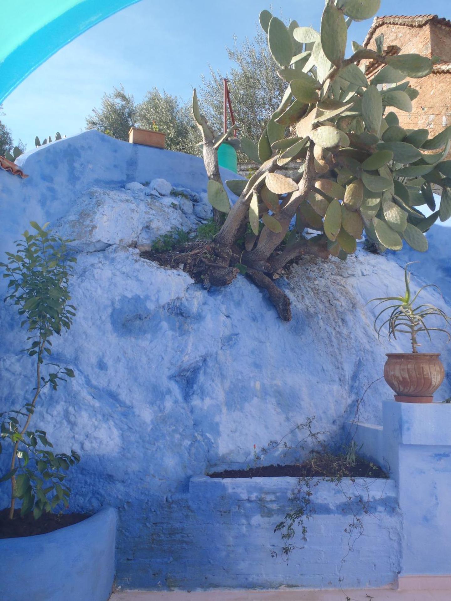 Dar Dalia - Photo 25