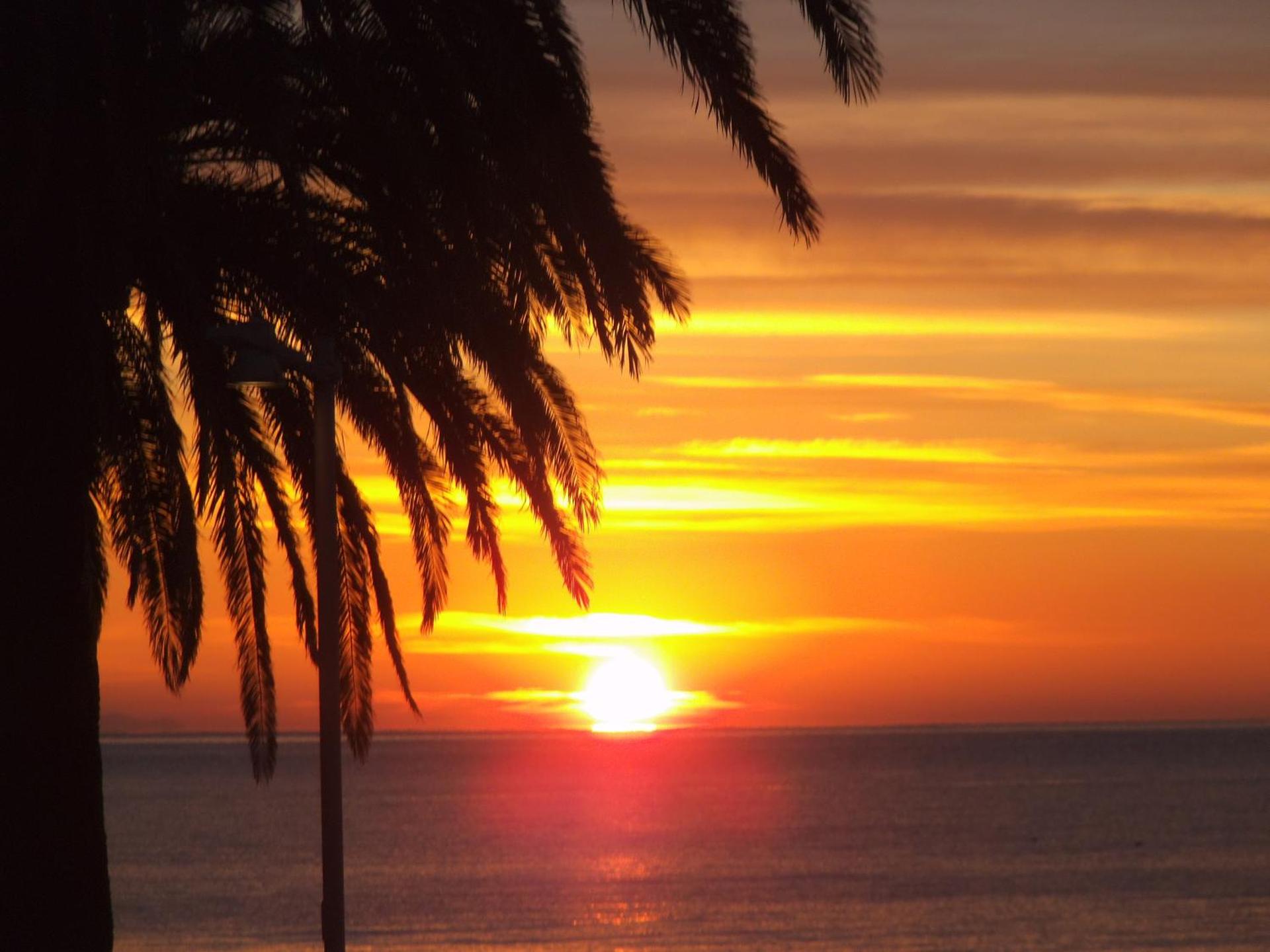 Hotel Ariston & Apartments - Photo 157